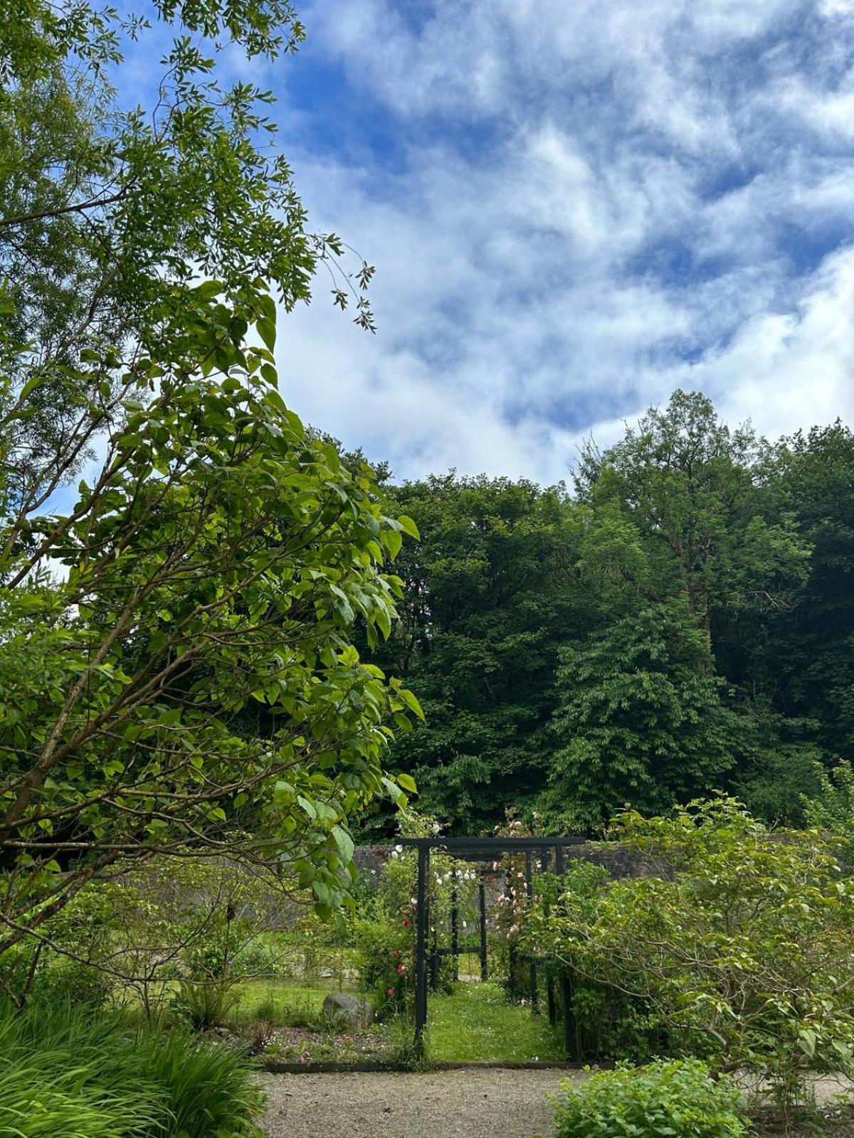 Sonas Mount Trenchard