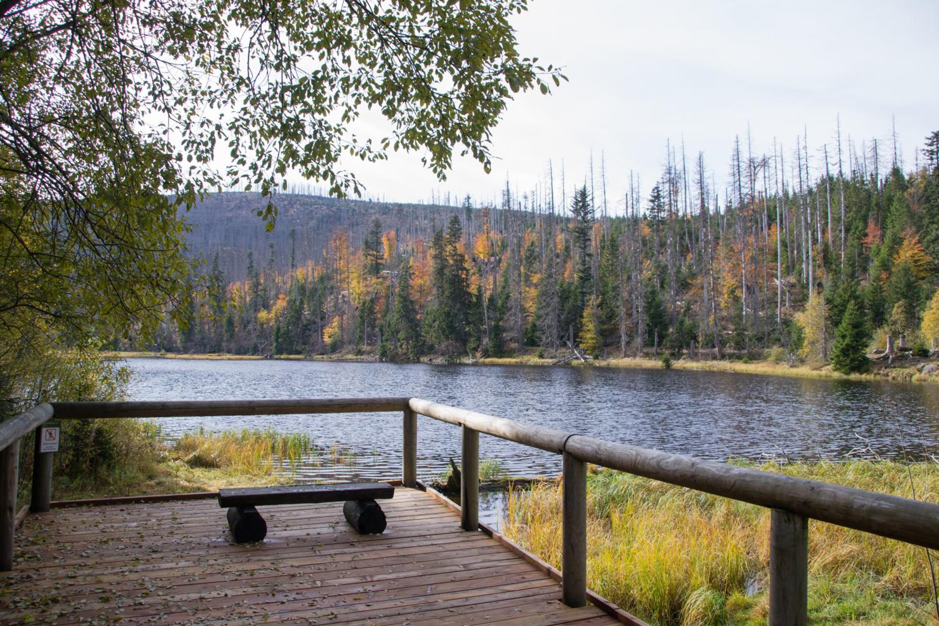 Apartmán REZE Šumava