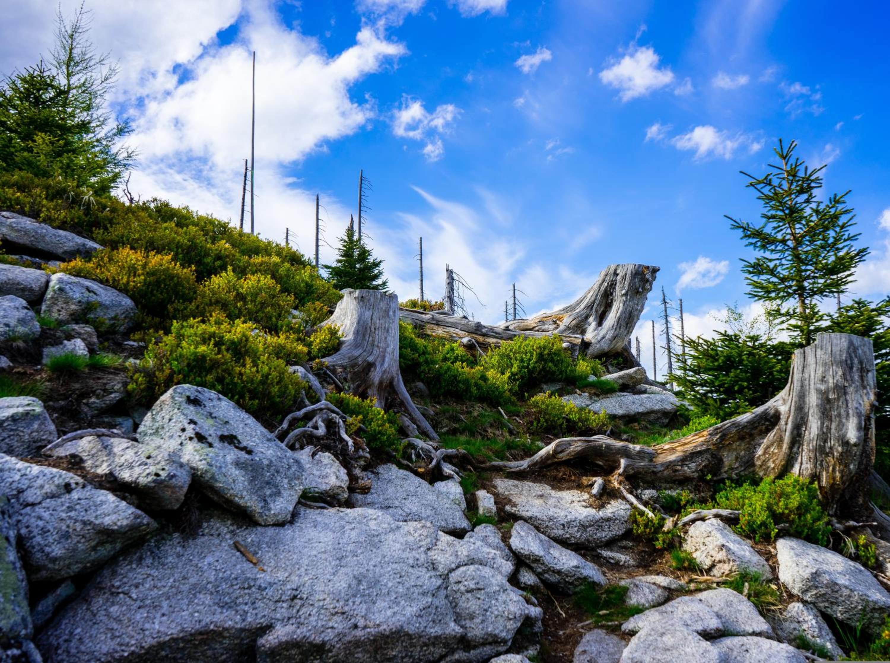 Apartmán REZE Šumava