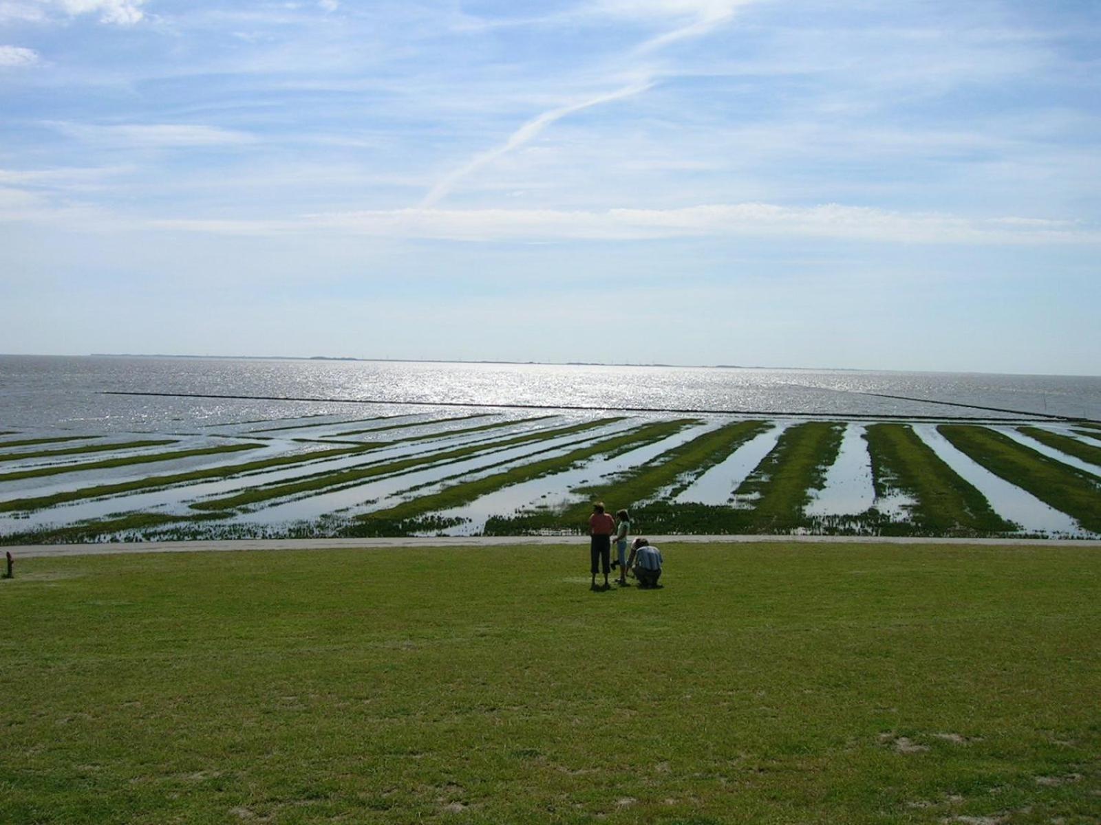 Südfeddersbüll hinterm Nordseedeich
