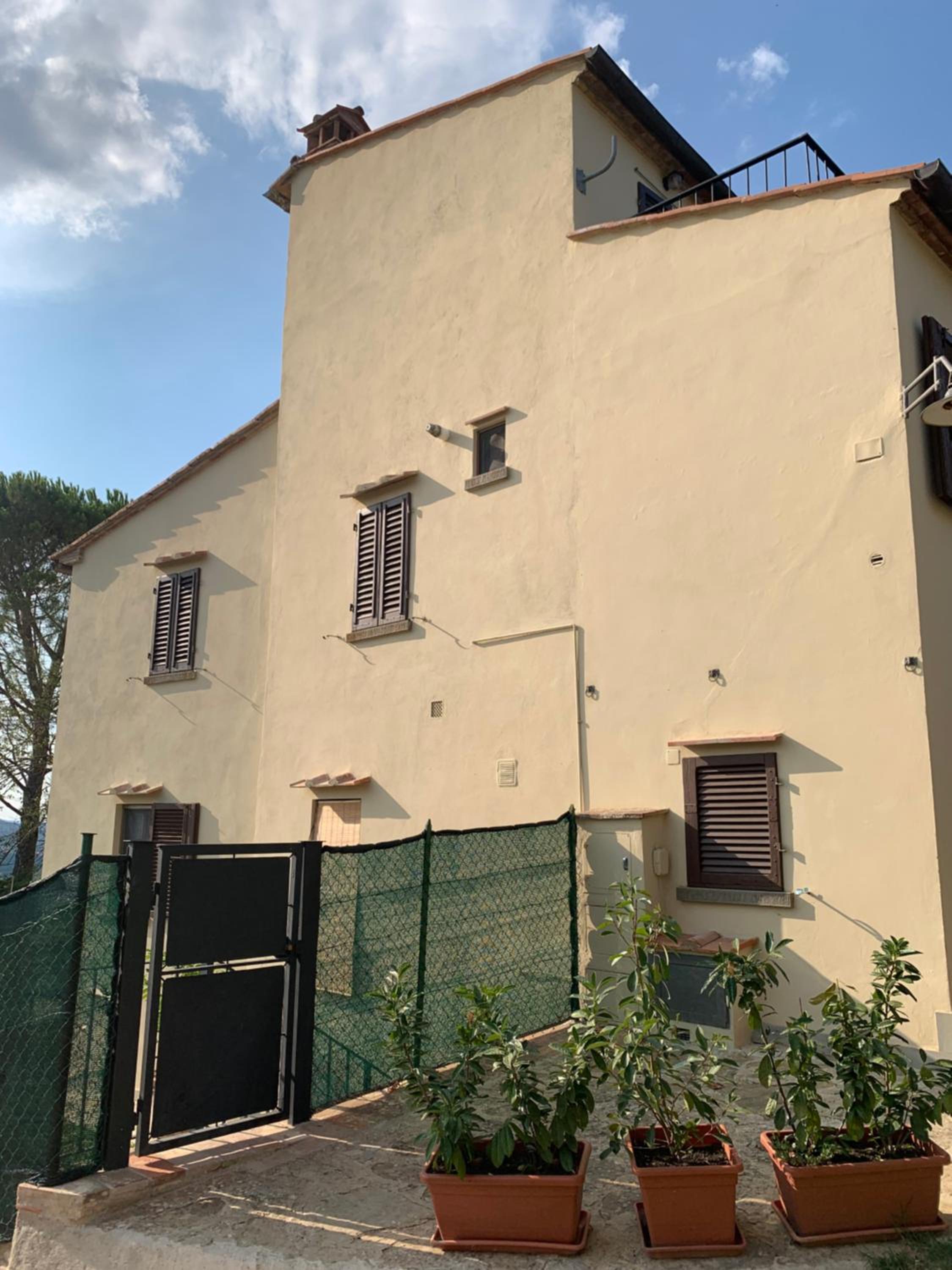 Il Glicine