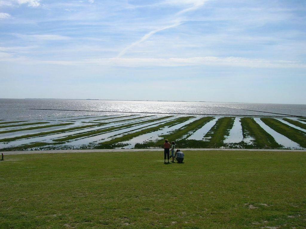Südfeddersbüll hinterm Nordseedeich