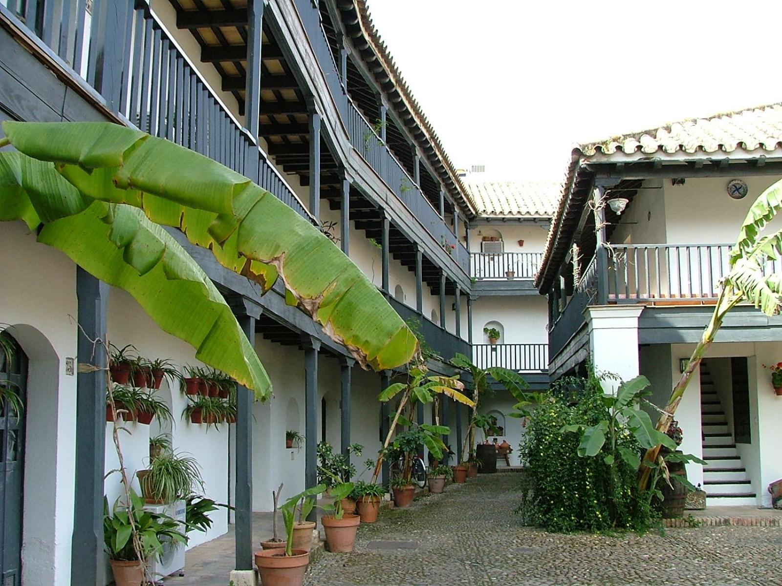 Andalusian Courtyard