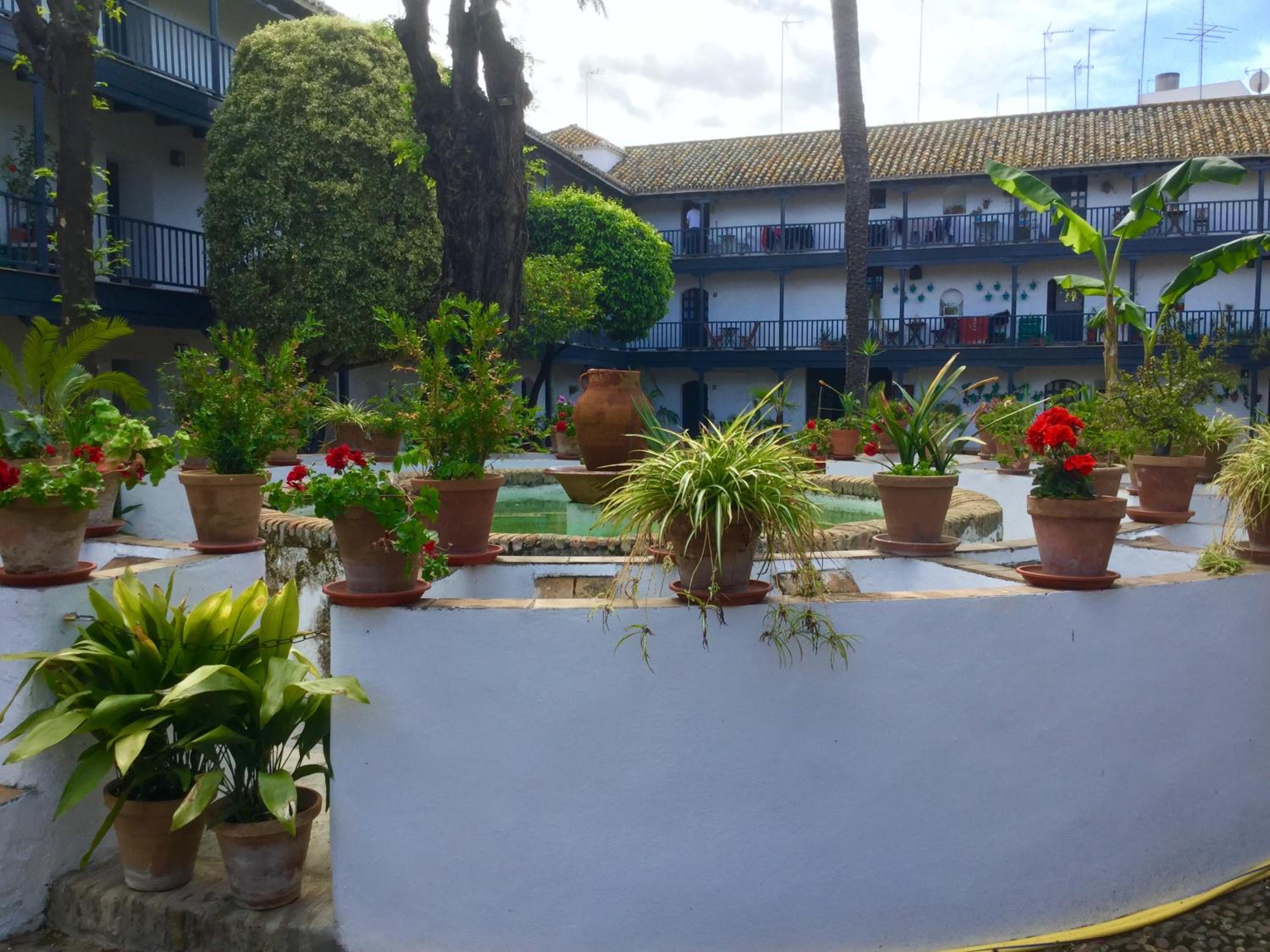 Andalusian Courtyard