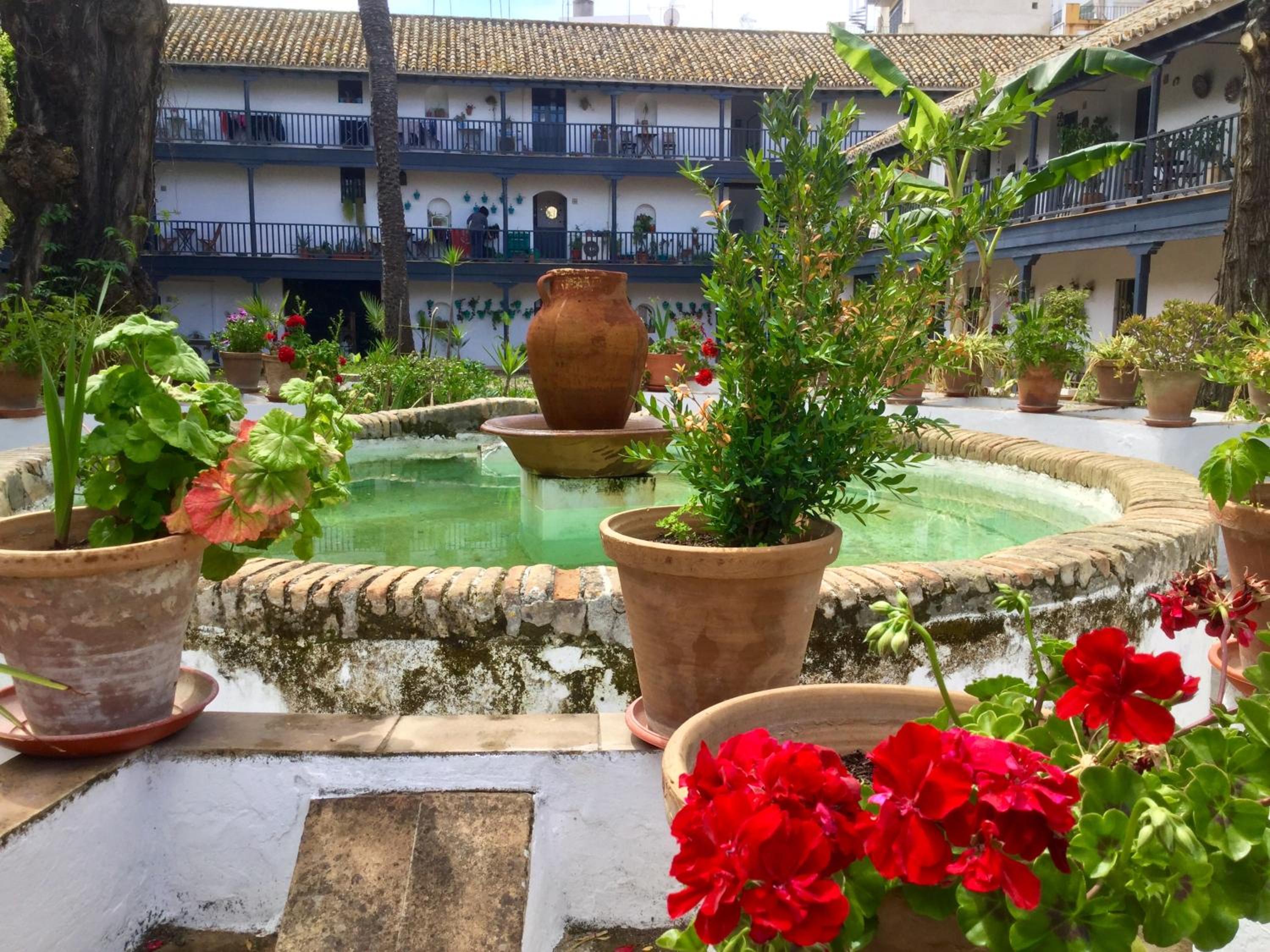 Andalusian Courtyard