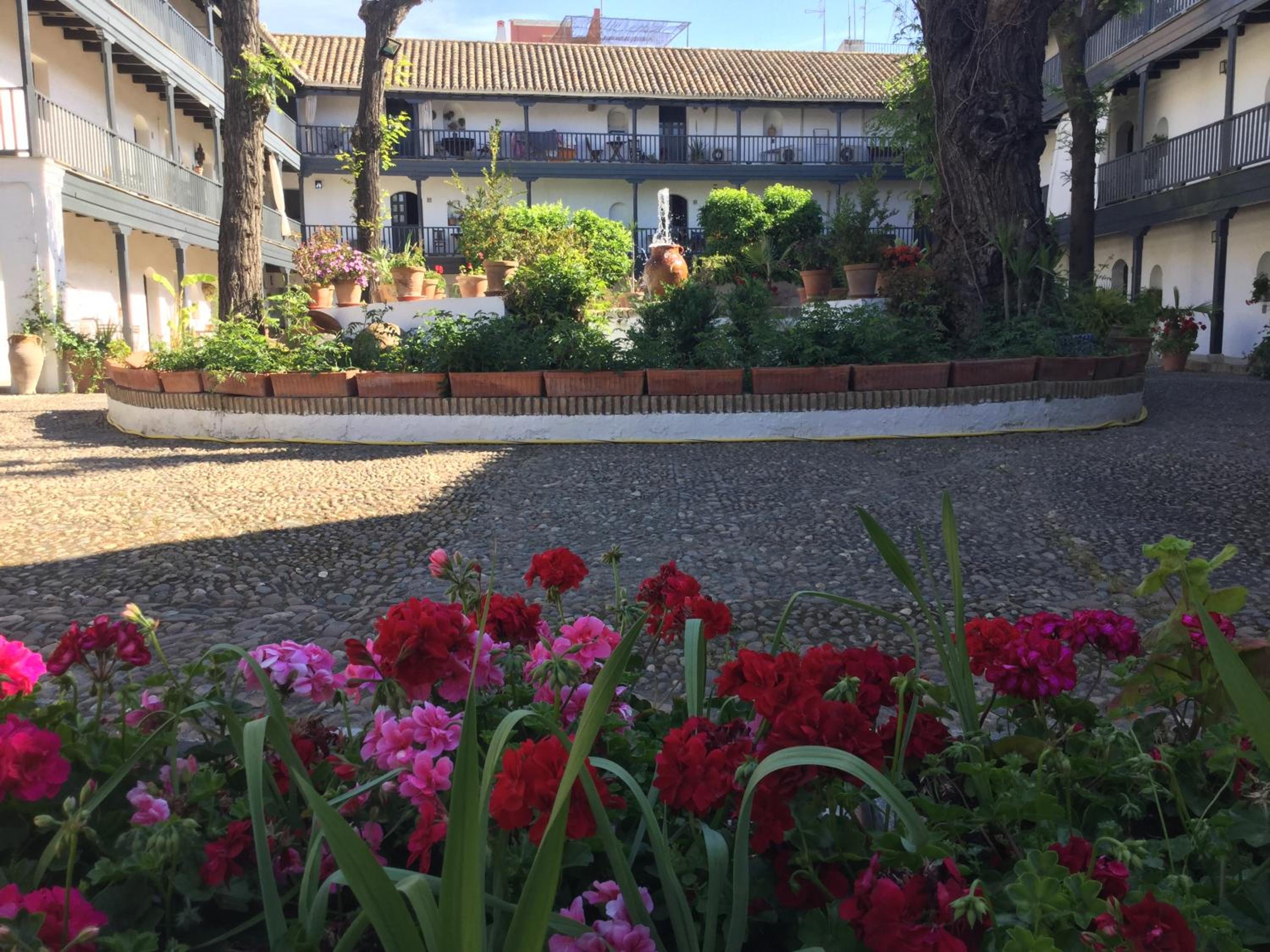 Andalusian Courtyard