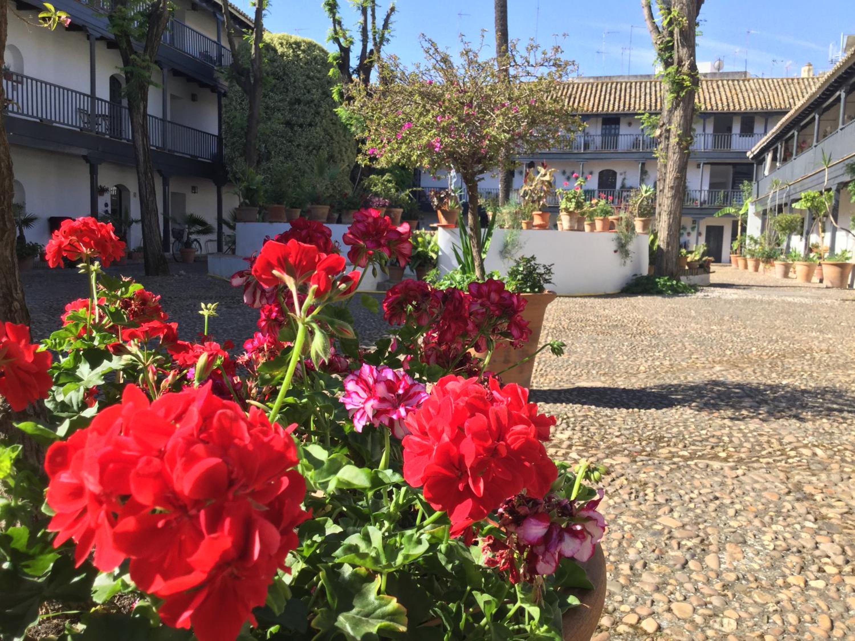 Andalusian Courtyard