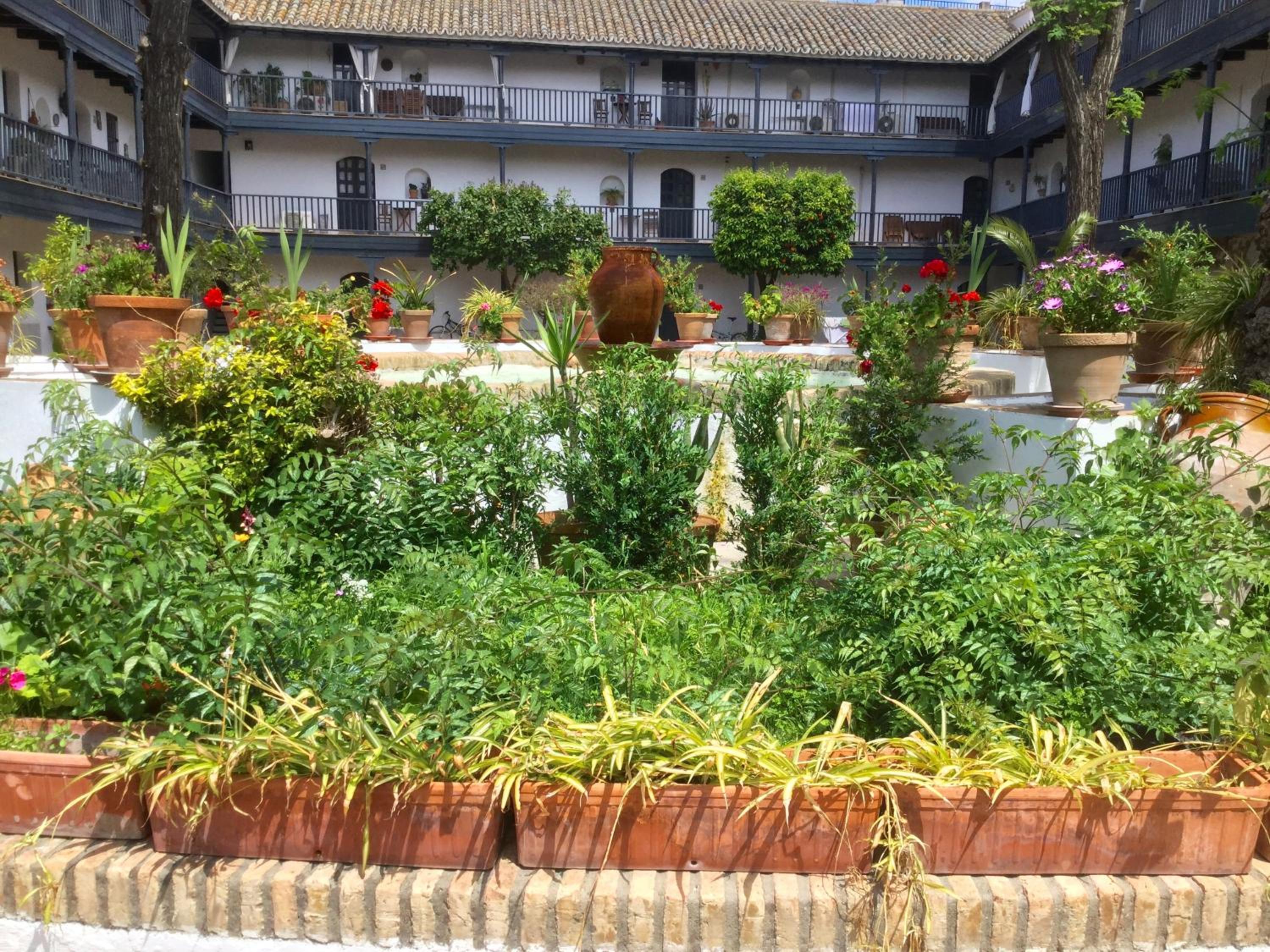 Andalusian Courtyard