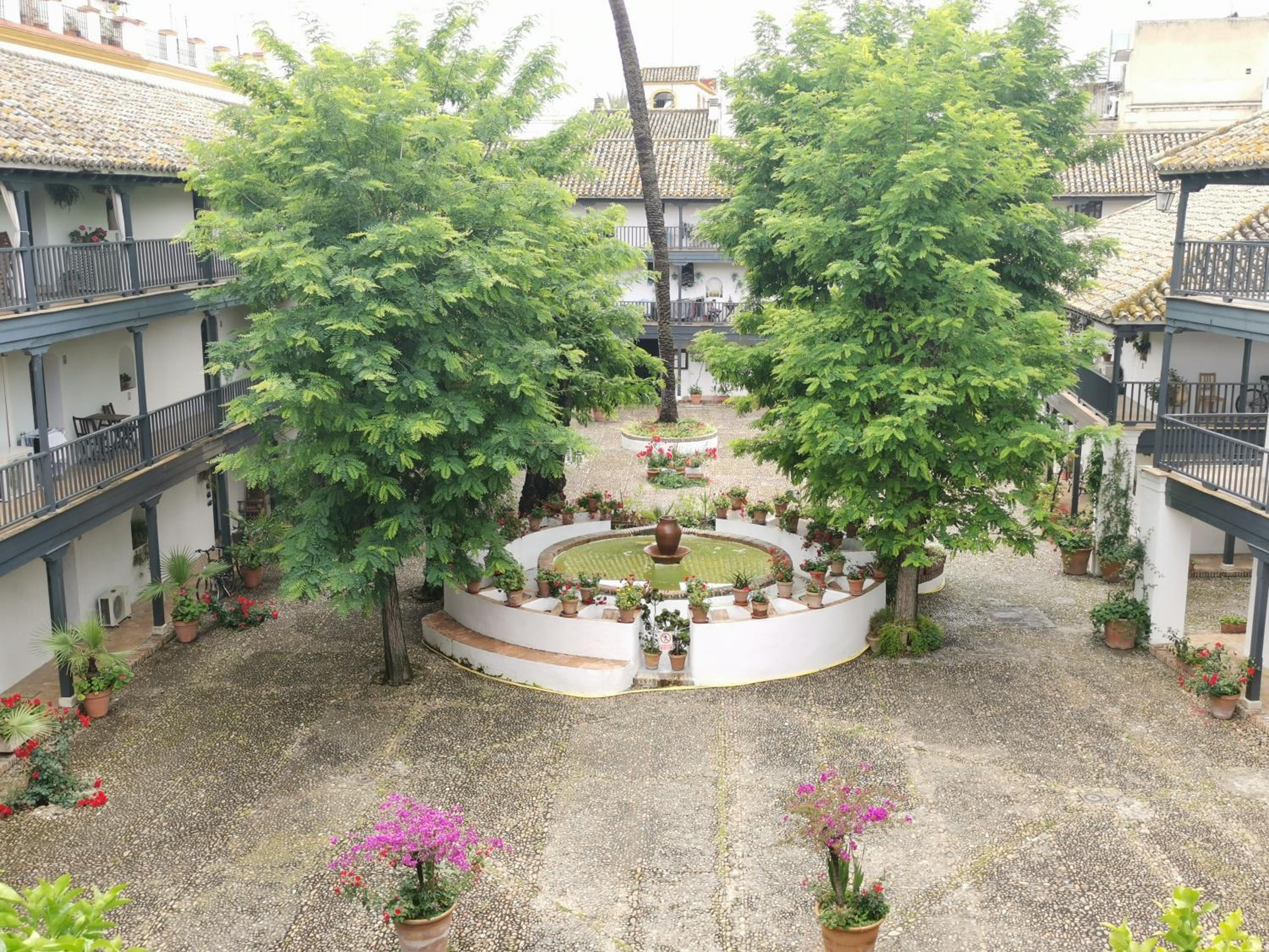 Andalusian Courtyard
