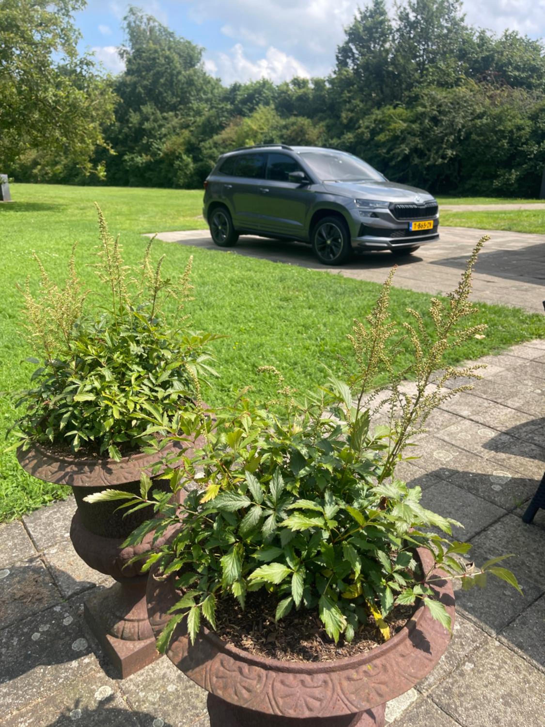 parking