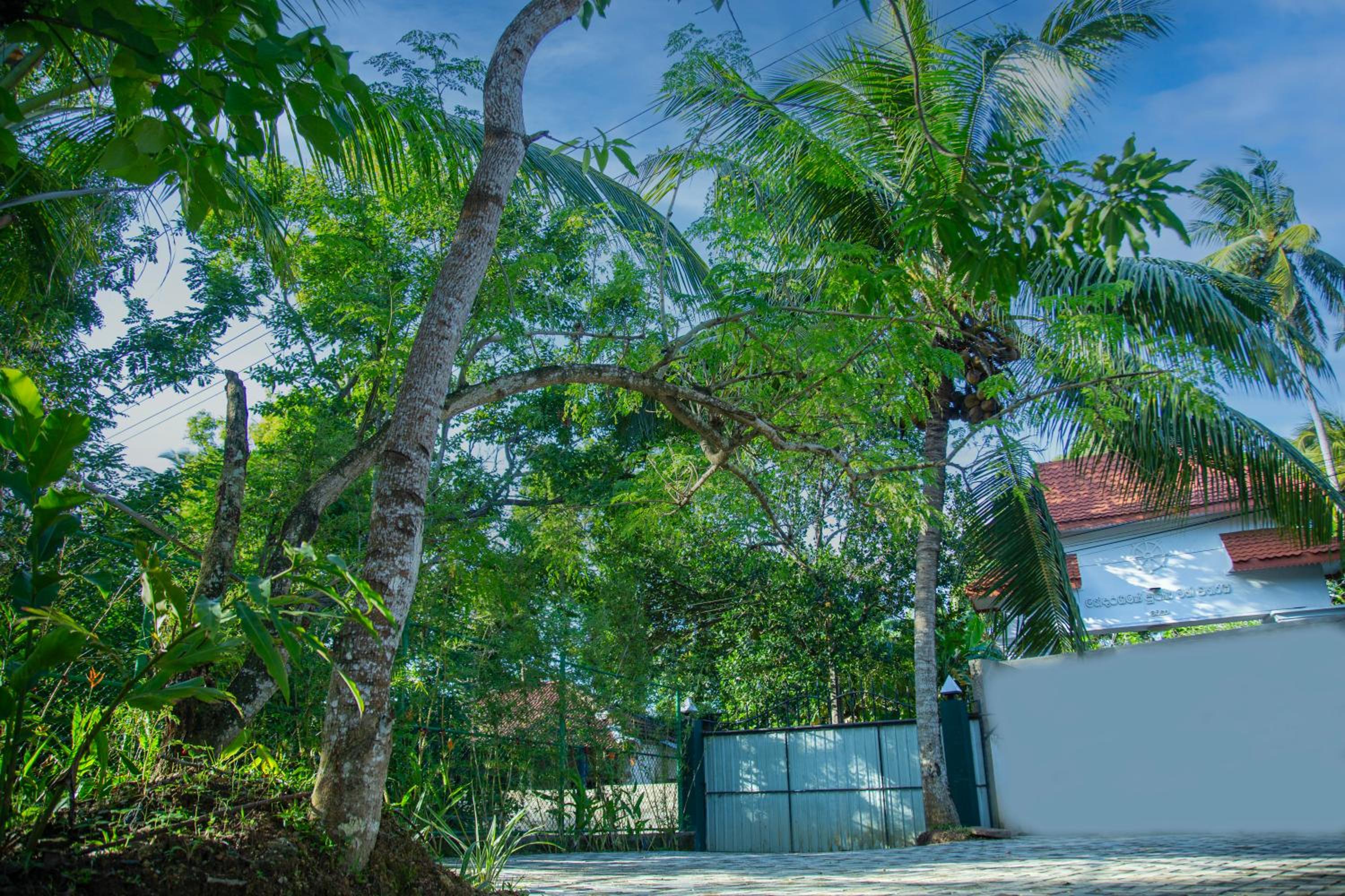 Mini Pearl House view 3