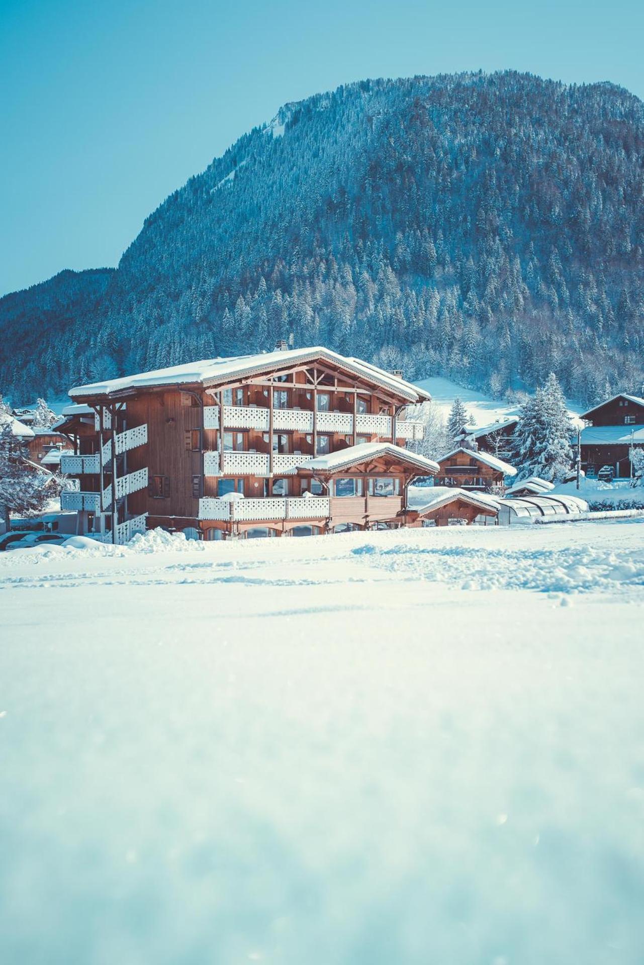 Morzine Vacations - La Clef des Champs - Property Image 10