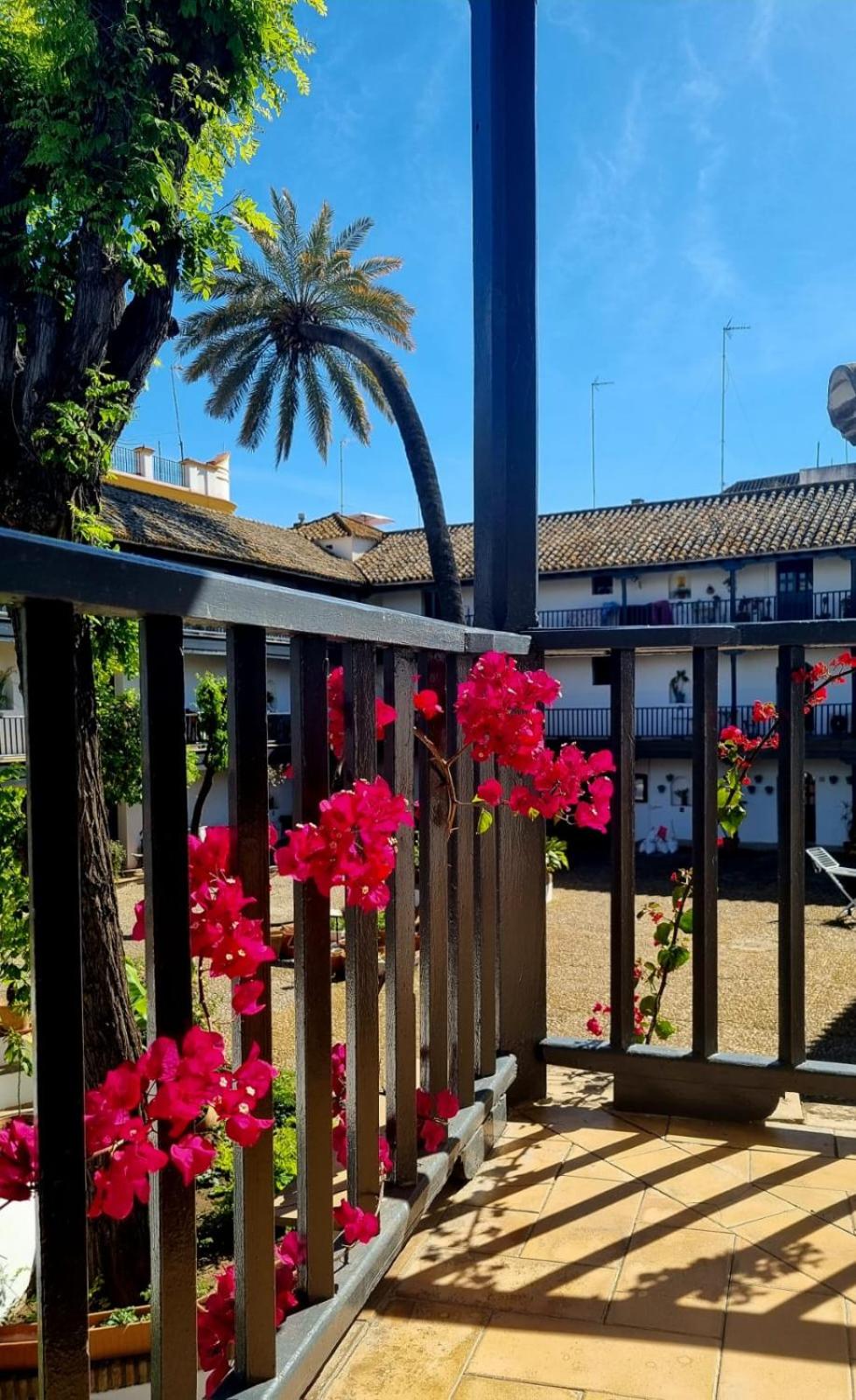 Andalusian Courtyard