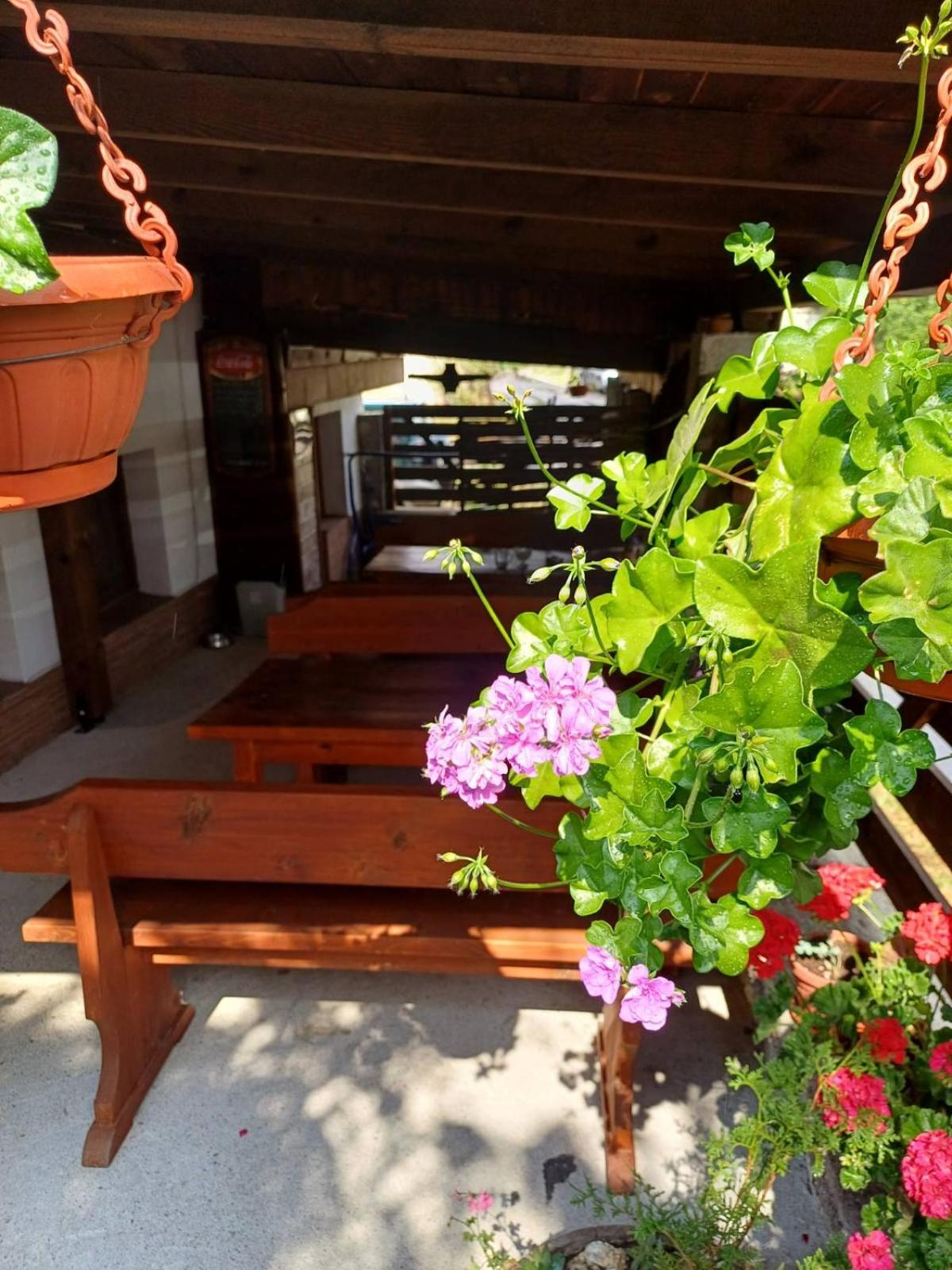 Guest House Markovi