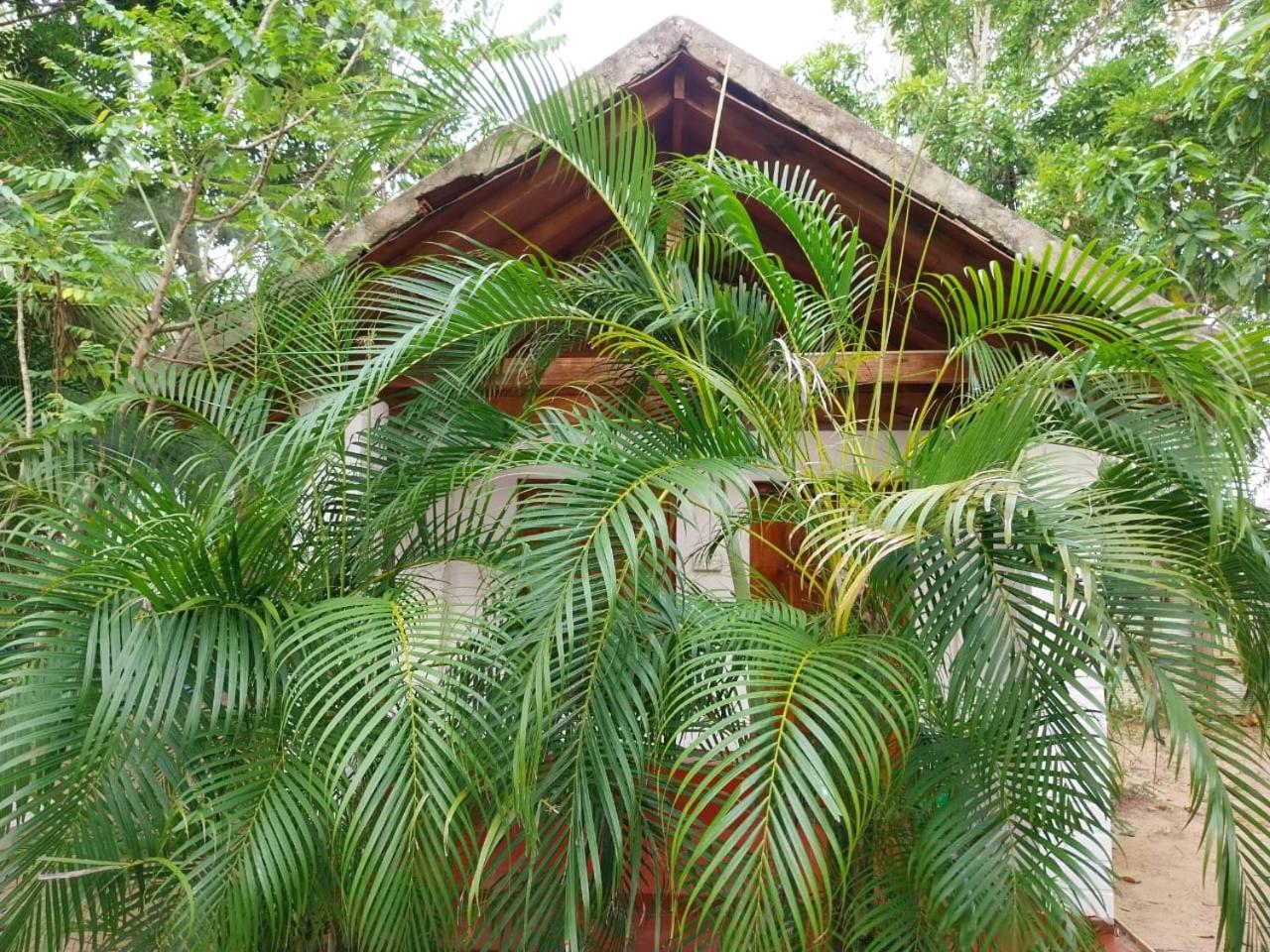 River Point Cabana at Arugambay view 5