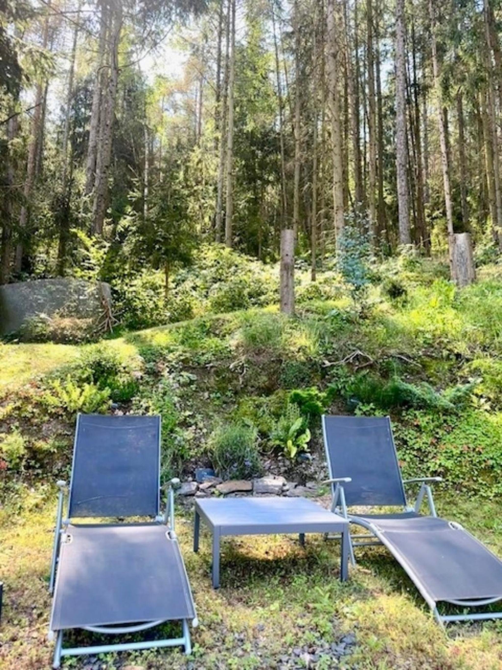 Stausee- WaldLoft