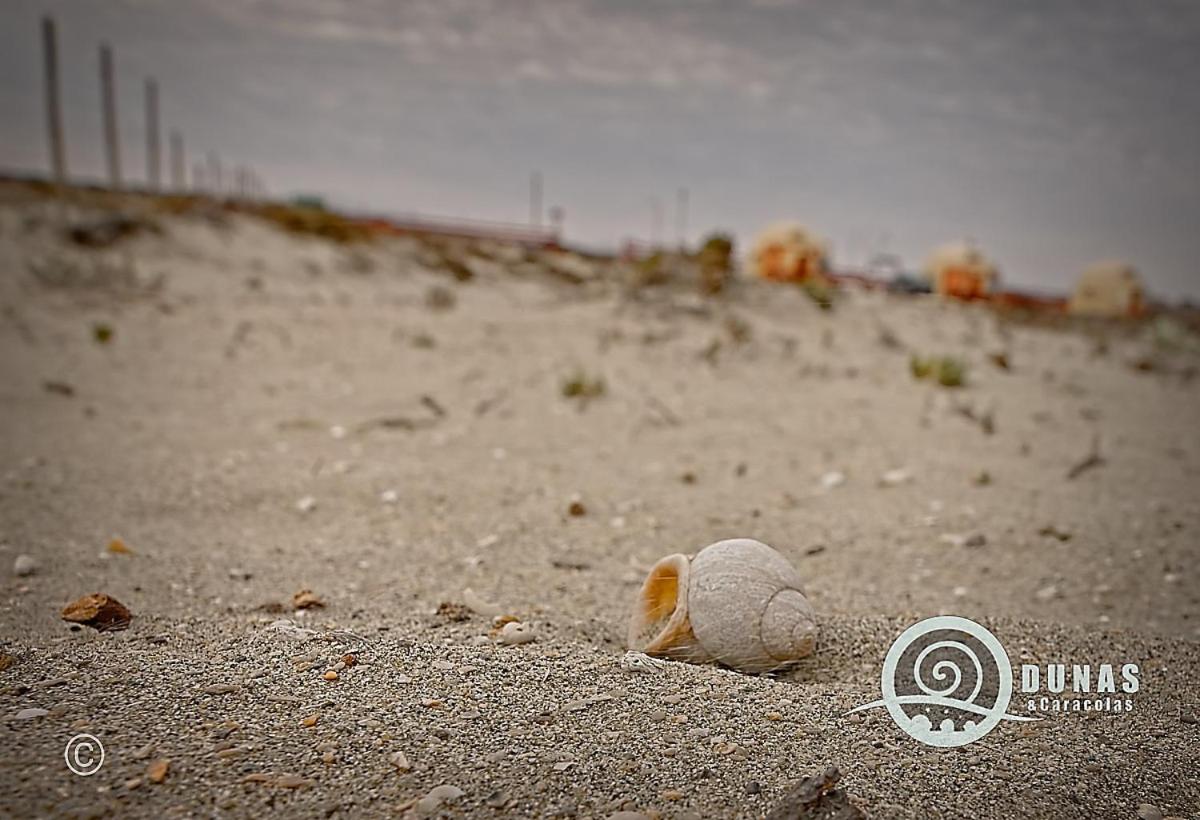 Entre Dunas y Caracolas