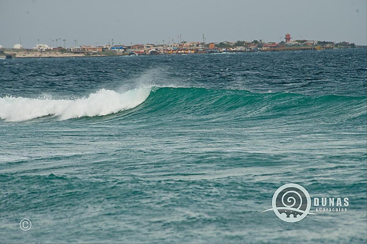 Entre Dunas y Caracolas