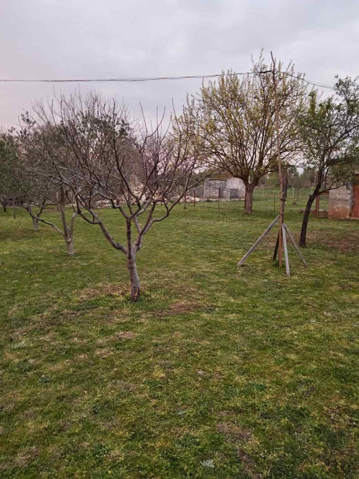 Kuca za odmor
