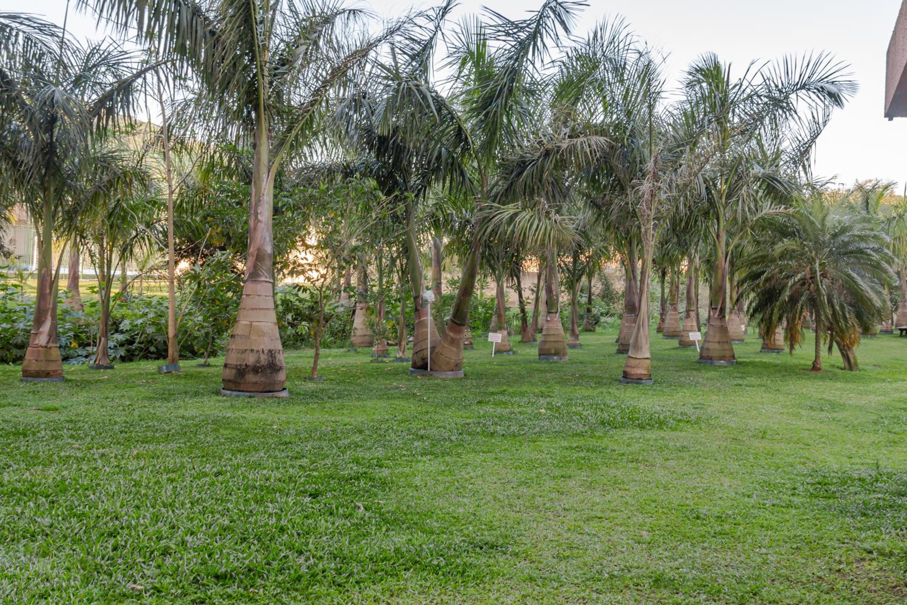 Vista Atlântico: Cond. Arborizado em Itapema P1474