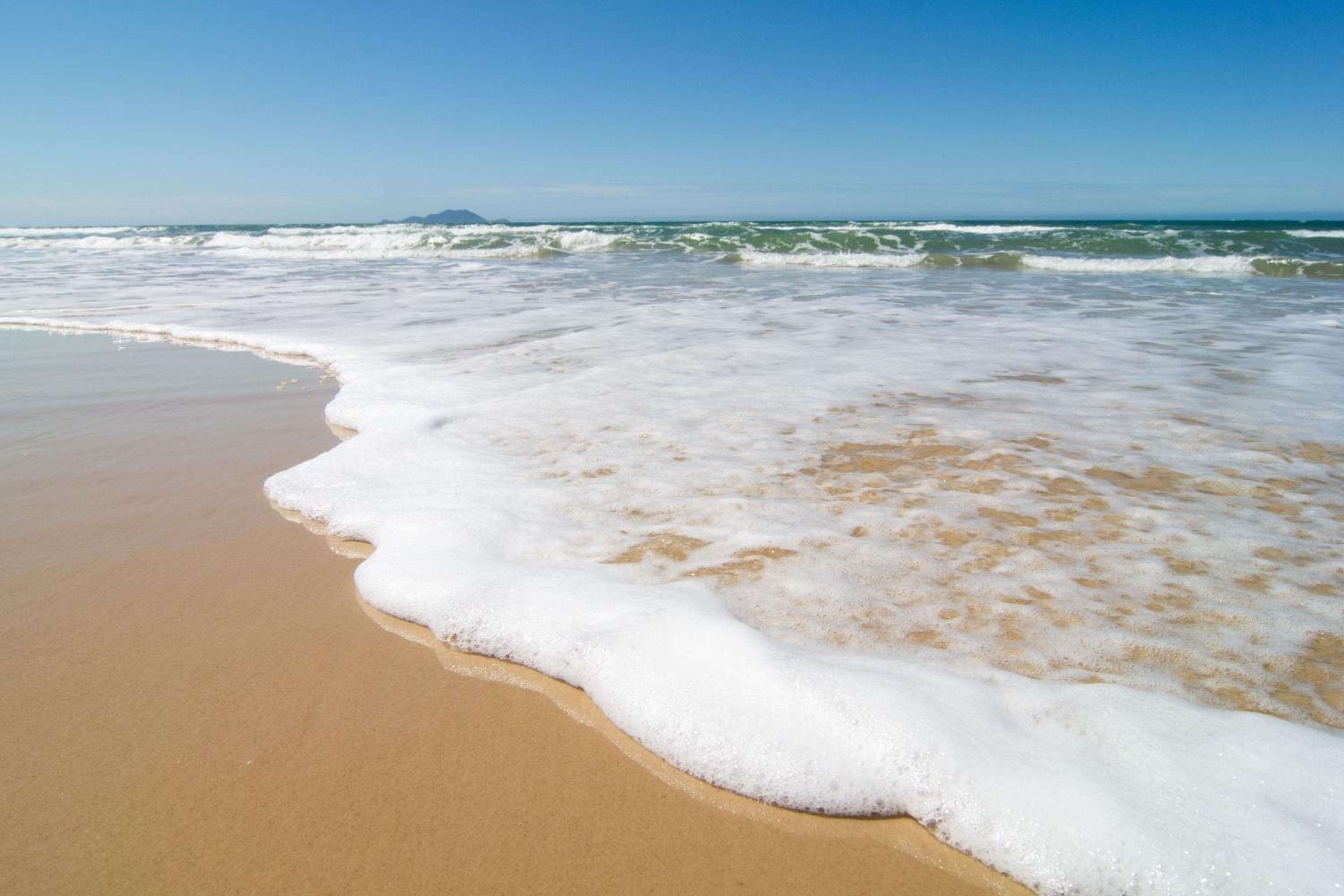 Área Nobre nos Ingleses, 650 metros da Praia P1298