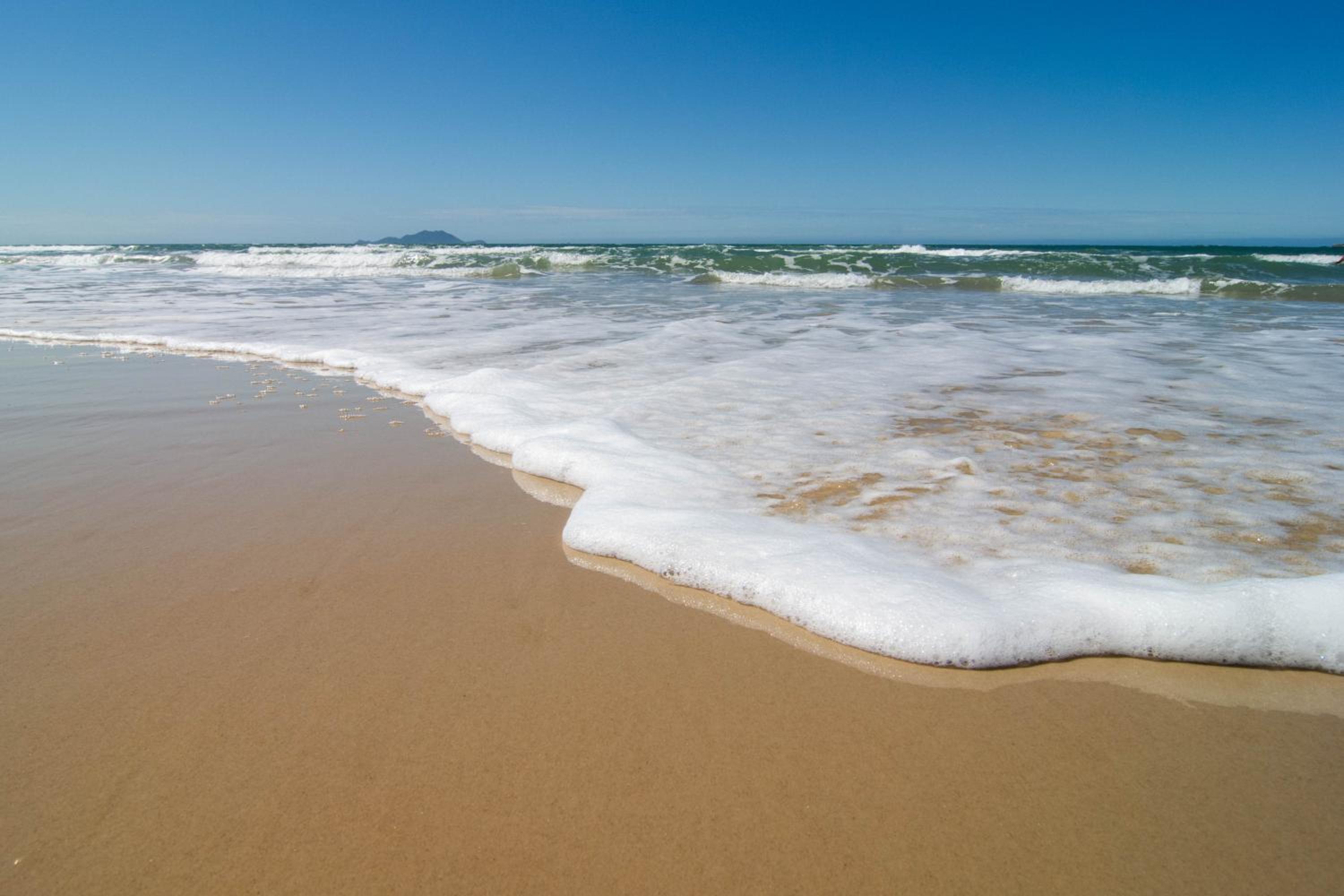 Área Nobre nos Ingleses, 650 metros da Praia P1298