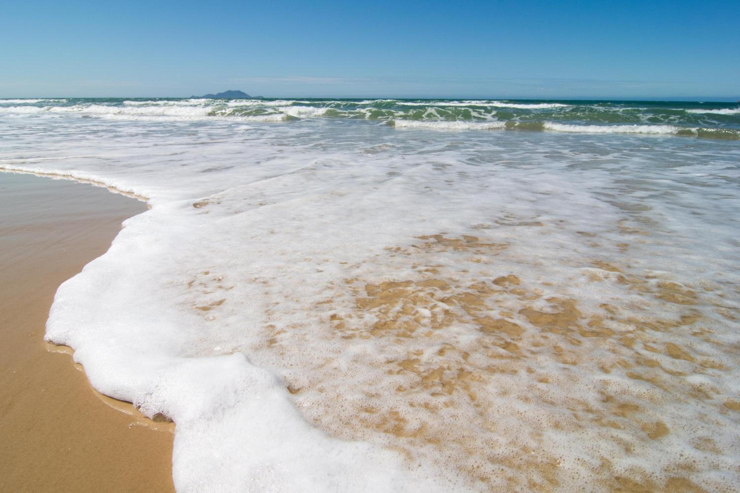 Área Nobre nos Ingleses, 650 metros da Praia P1298