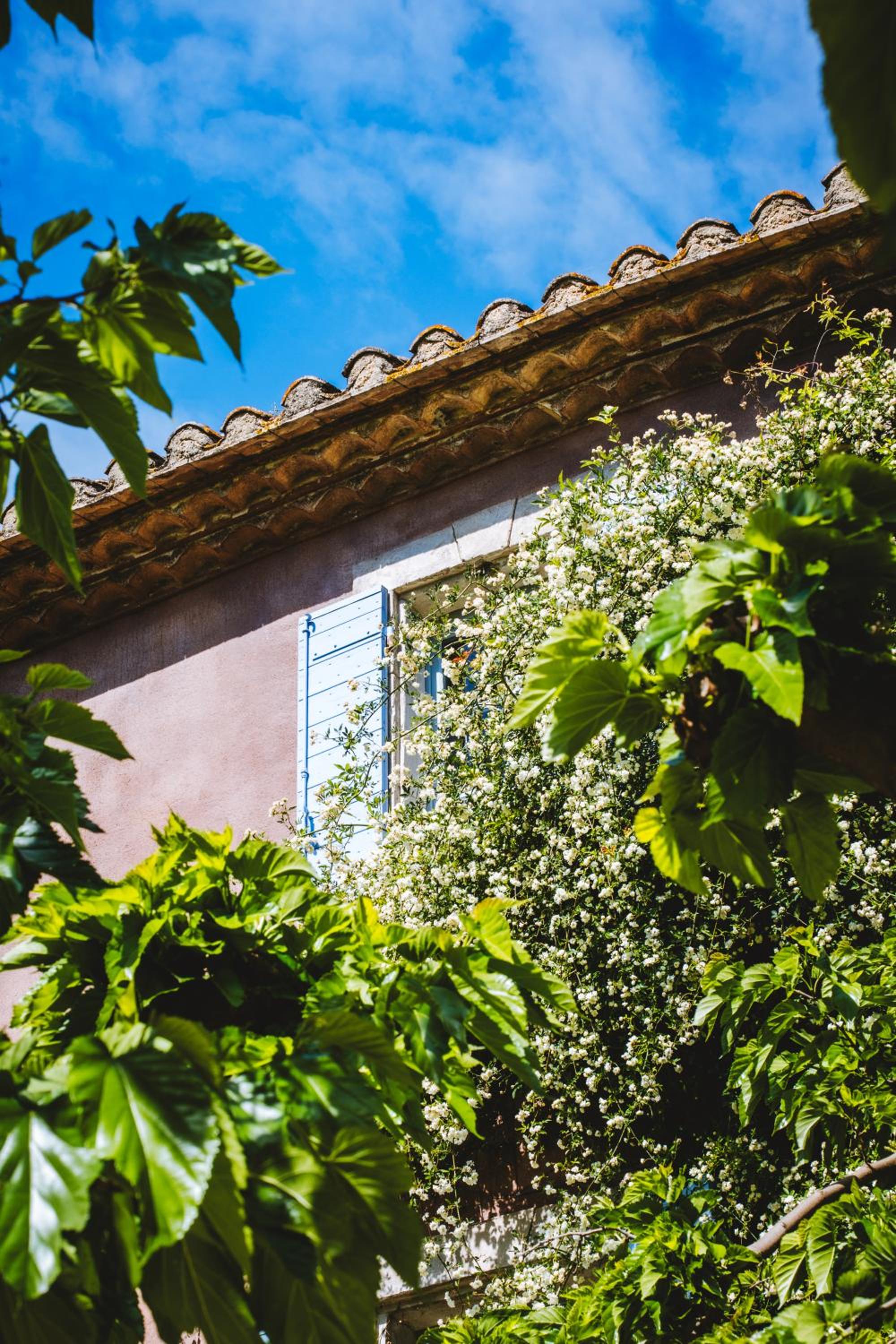 Bastide Rose, photo 21
