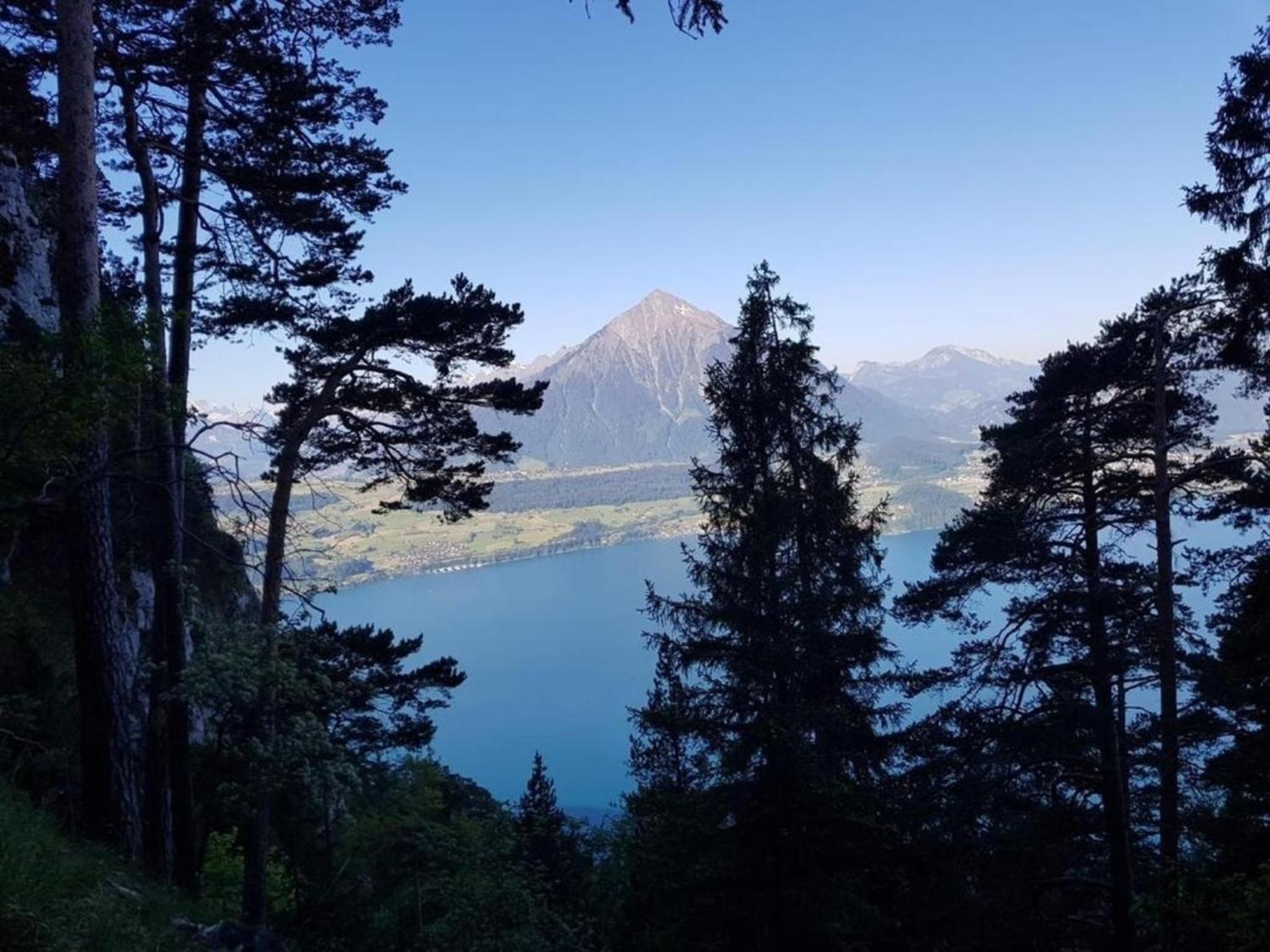 Lilotopmountainview
