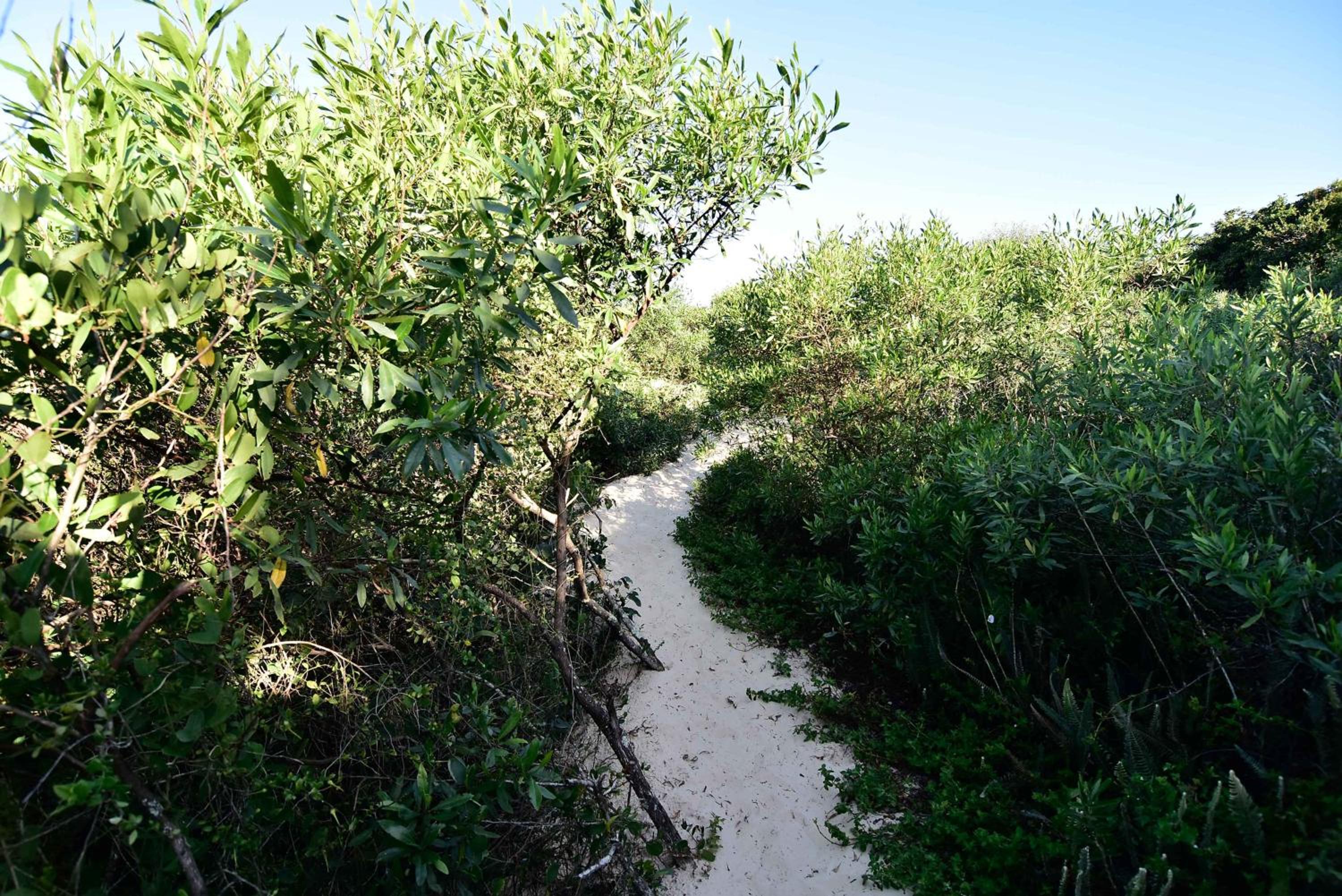 Apto em Condomínio Pé na Areia no Campeche P2519