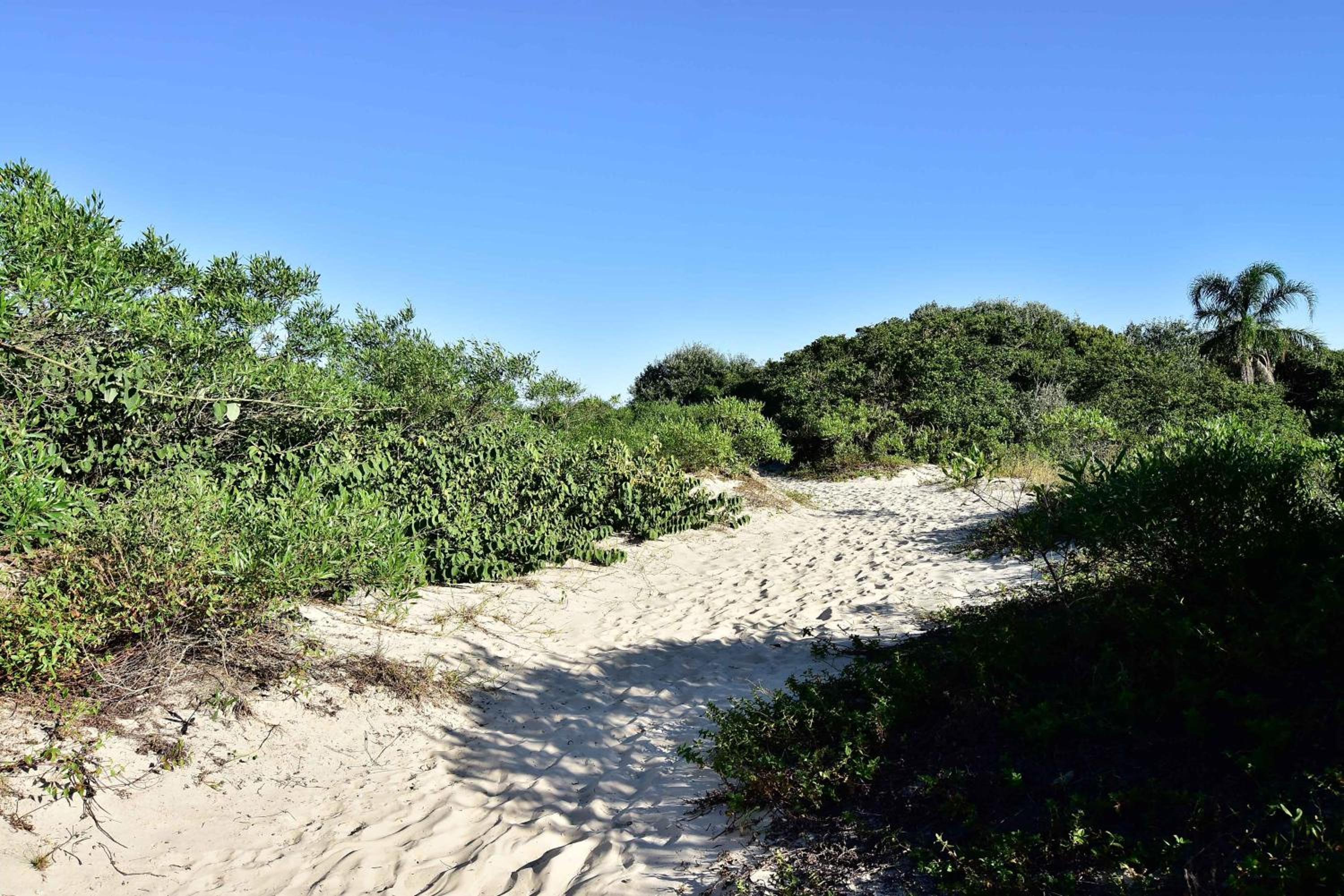 Apto em Condomínio Pé na Areia no Campeche P2519