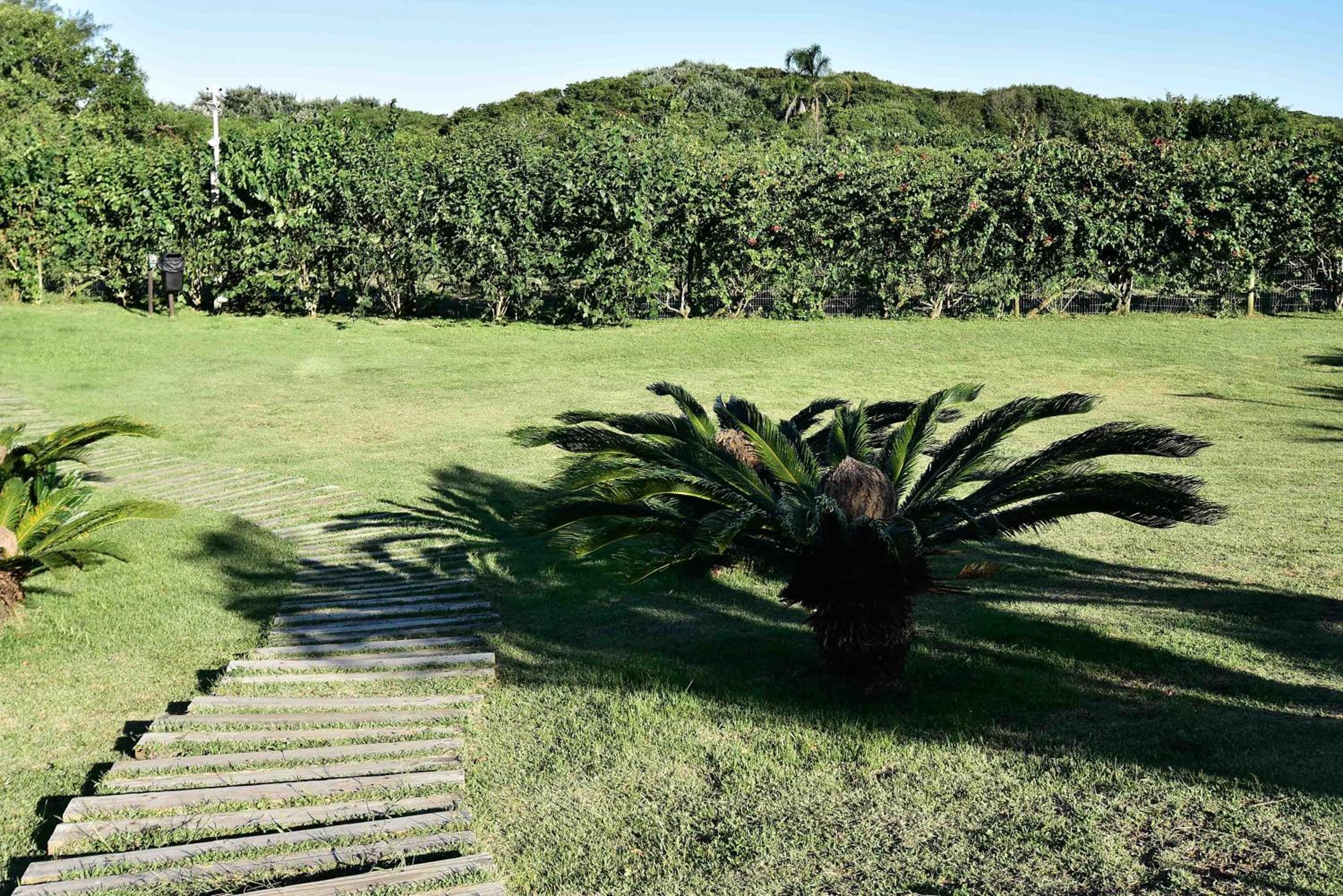Apto em Condomínio Pé na Areia no Campeche P2519