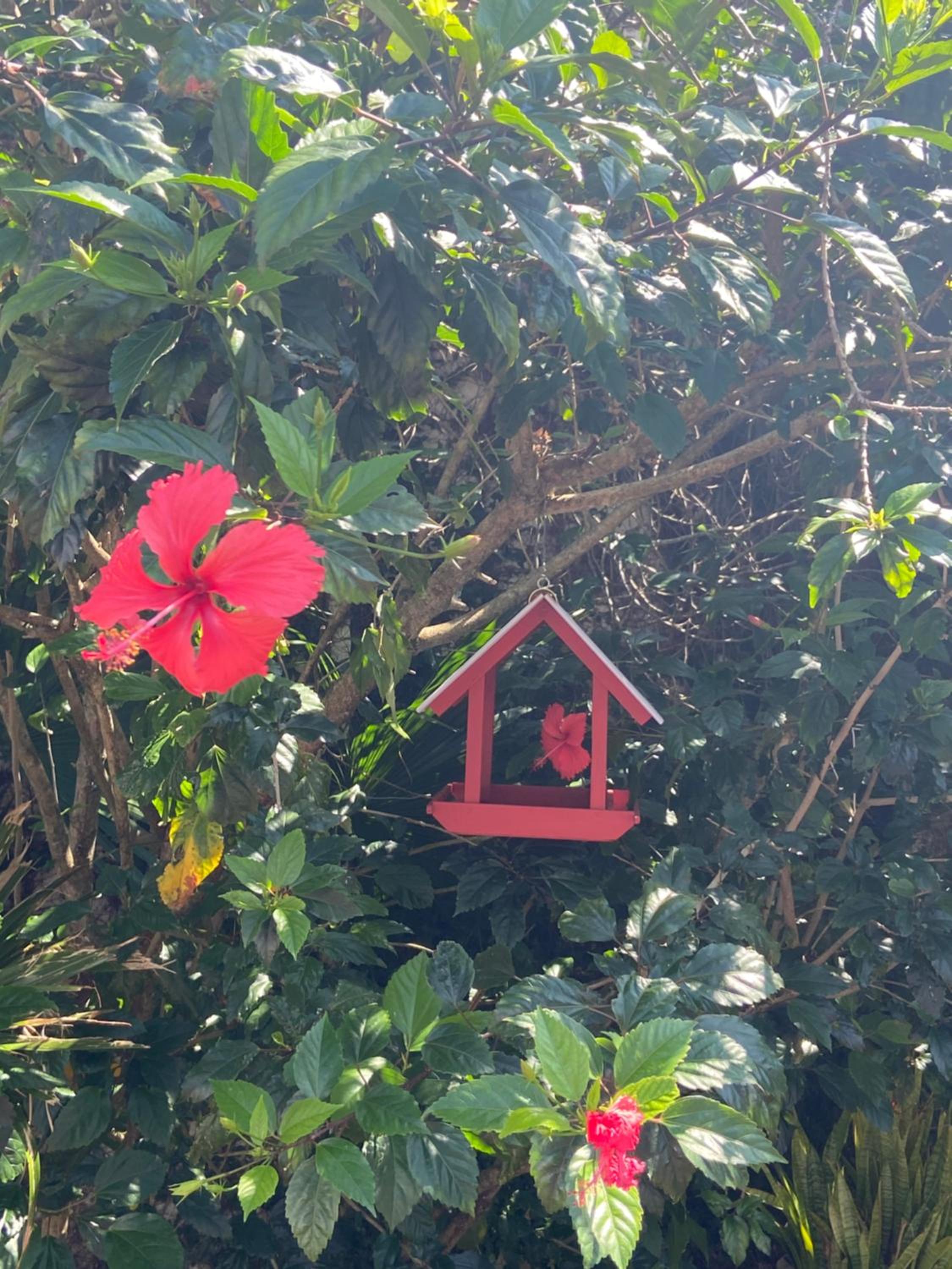 Casa Pé na Areia, Ribeirão da Ilha, 4suítes QK9397