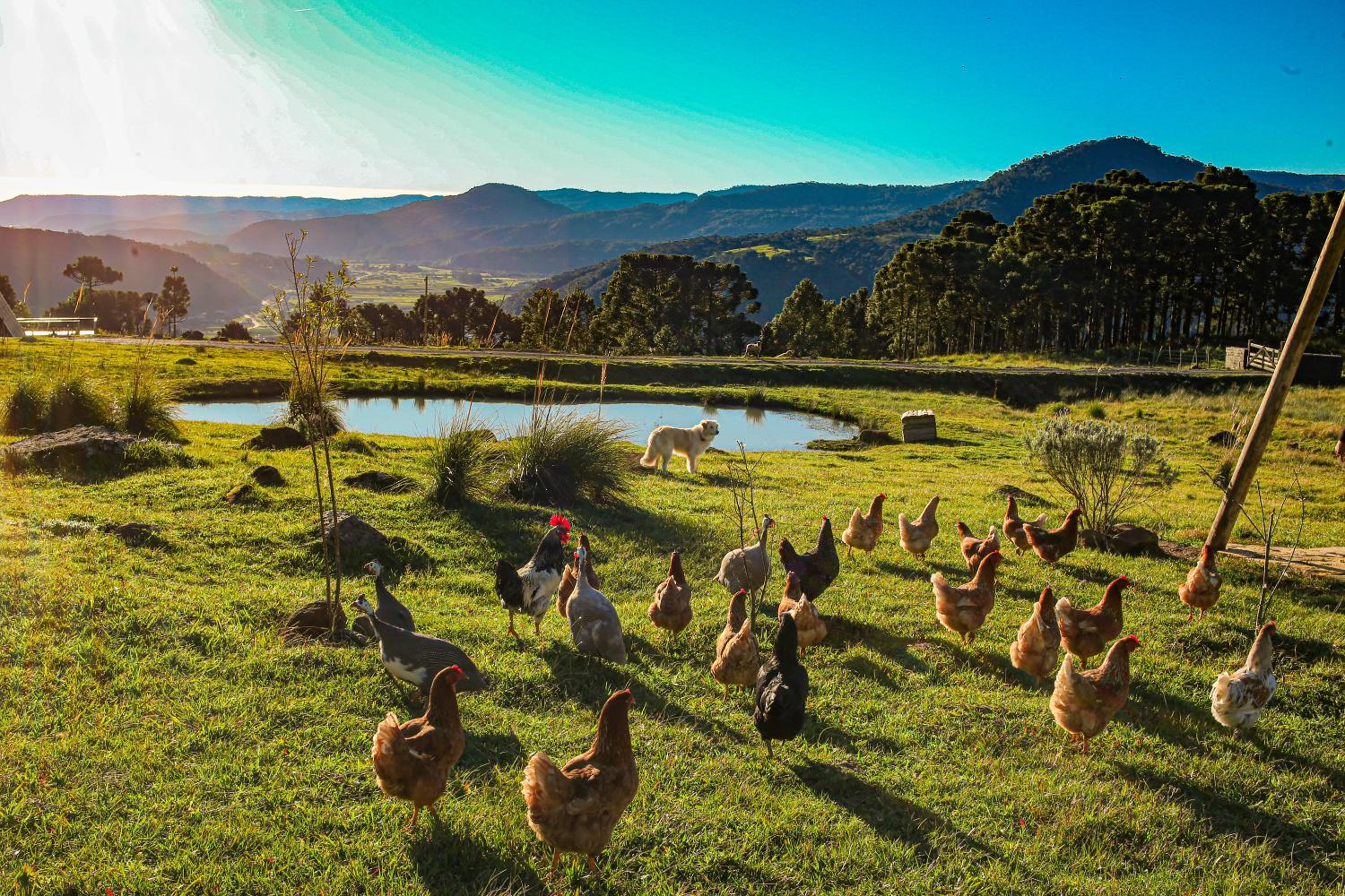 Chalé Costa Santti com banheira e lareira RW3466