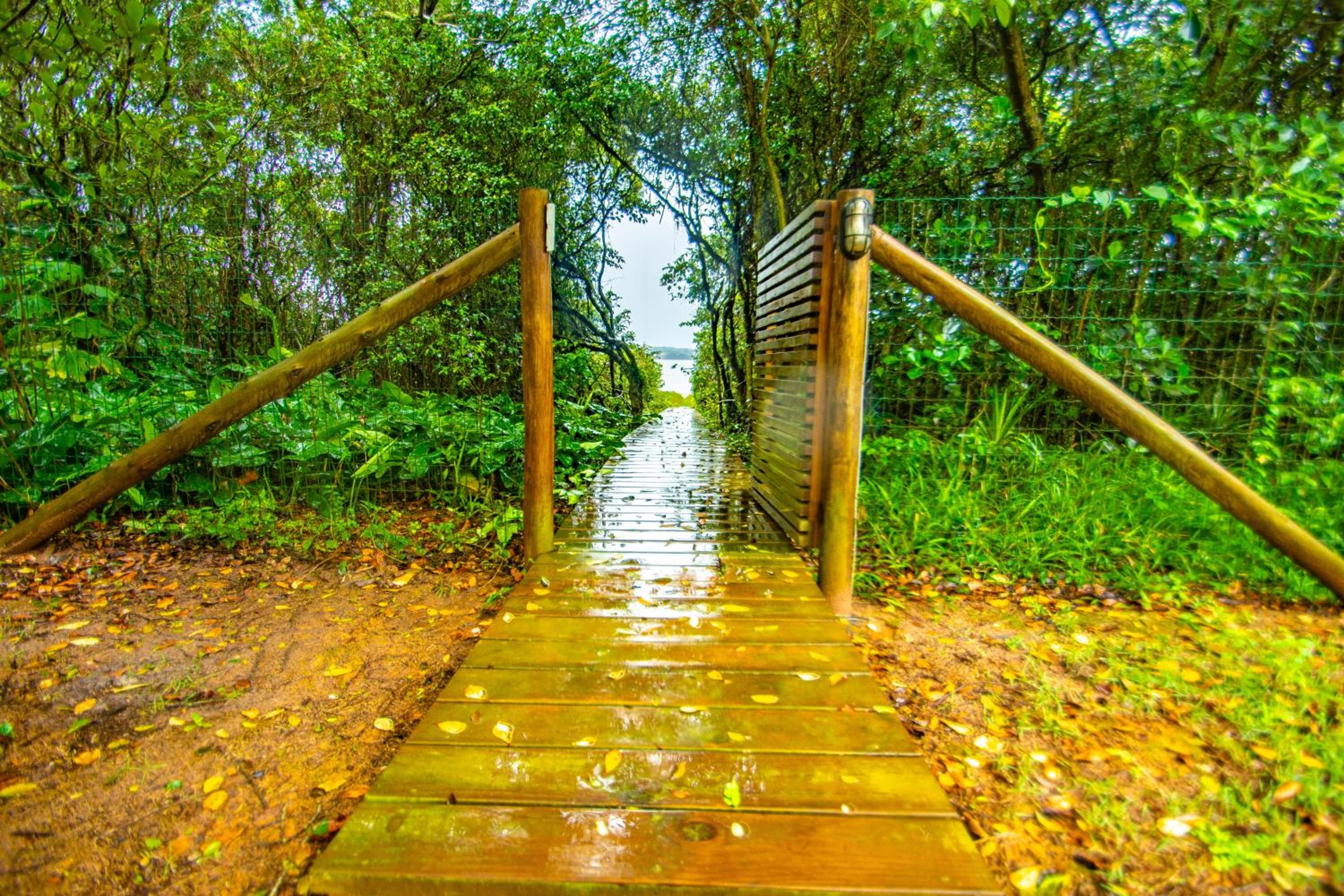 IbiraCottage Casa Verde em frente a Lagoa RS5981