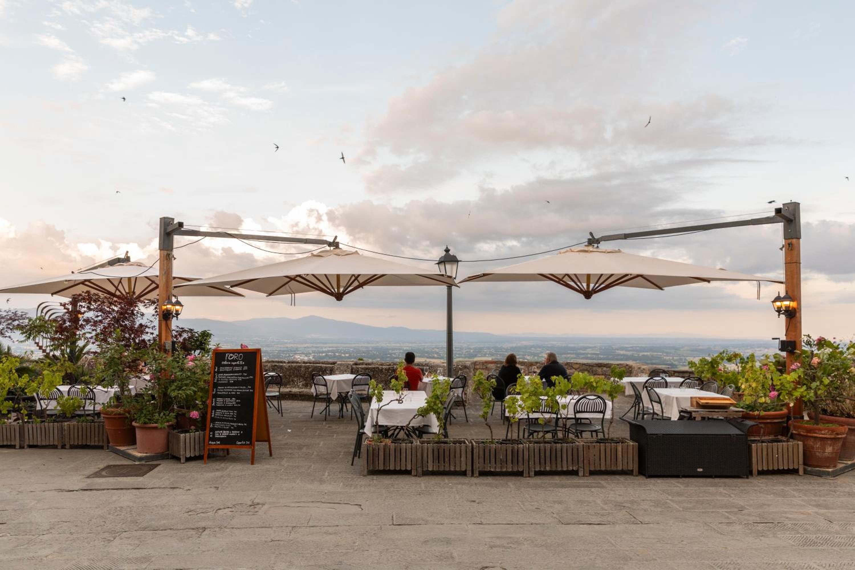 balance & terrace