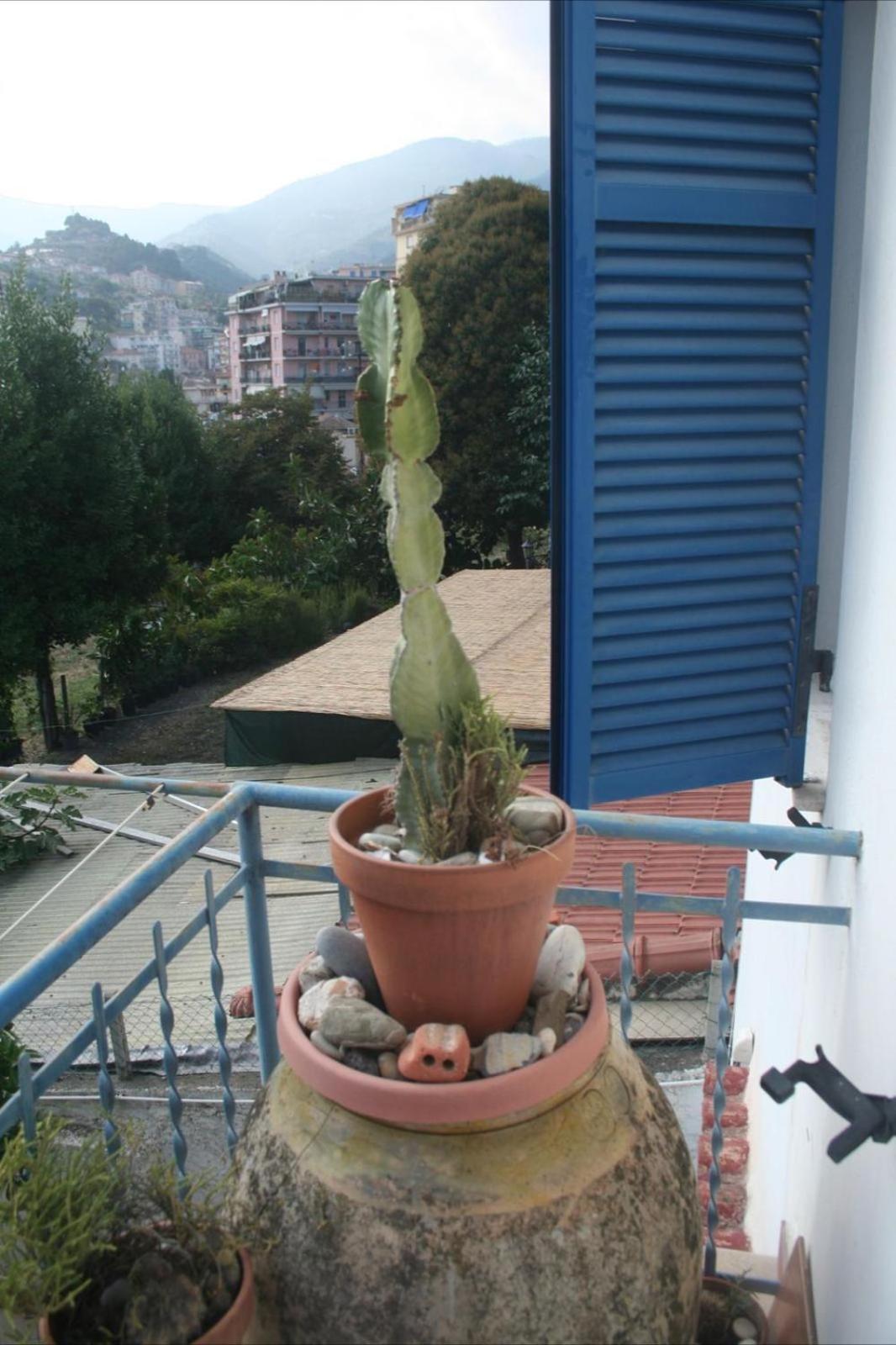 La casa di Flora photo 4