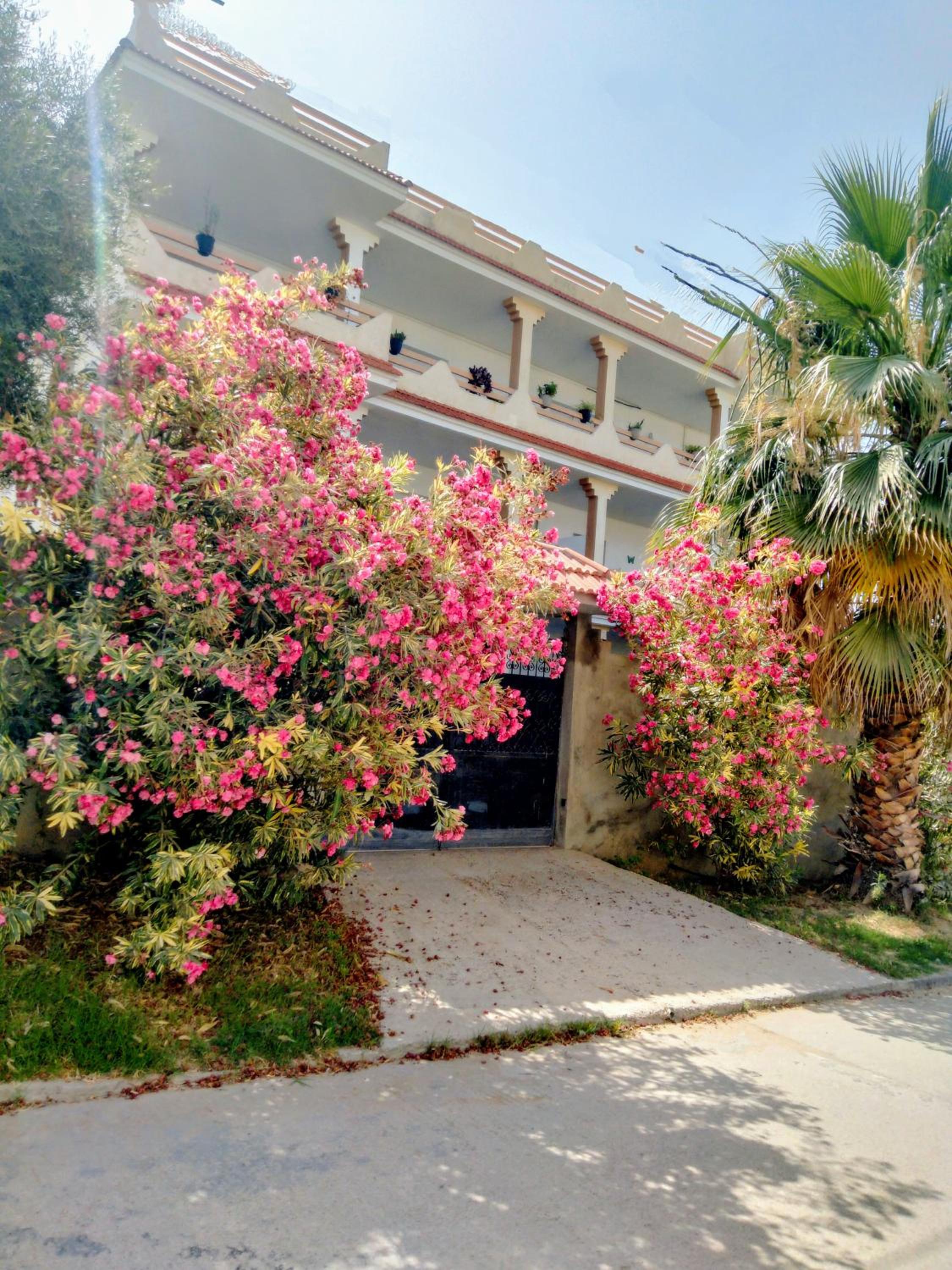 Tabarka Vacations - Maison du Laurier Rose - Property Image 1