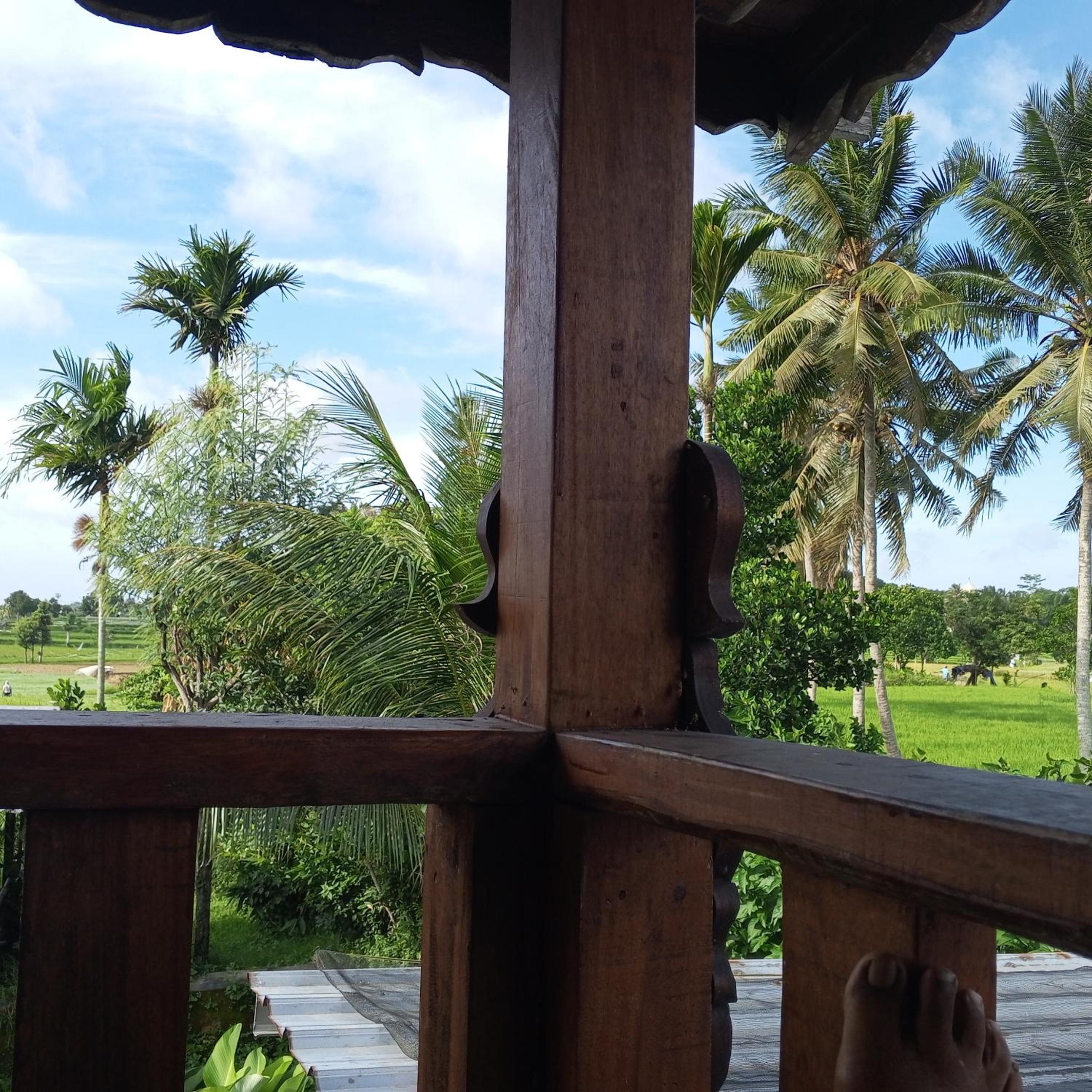 Bujak Permai Villa Kangkung view 5