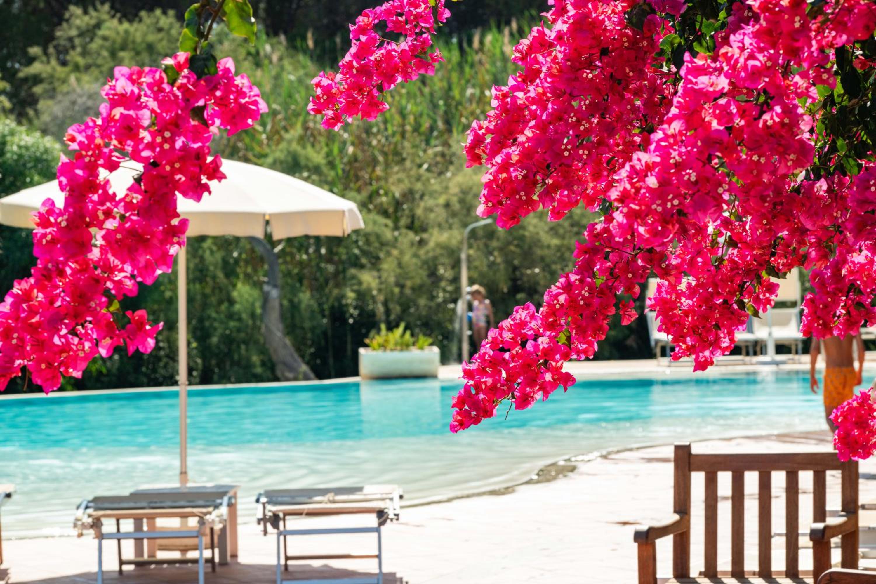 Perdepera Resort