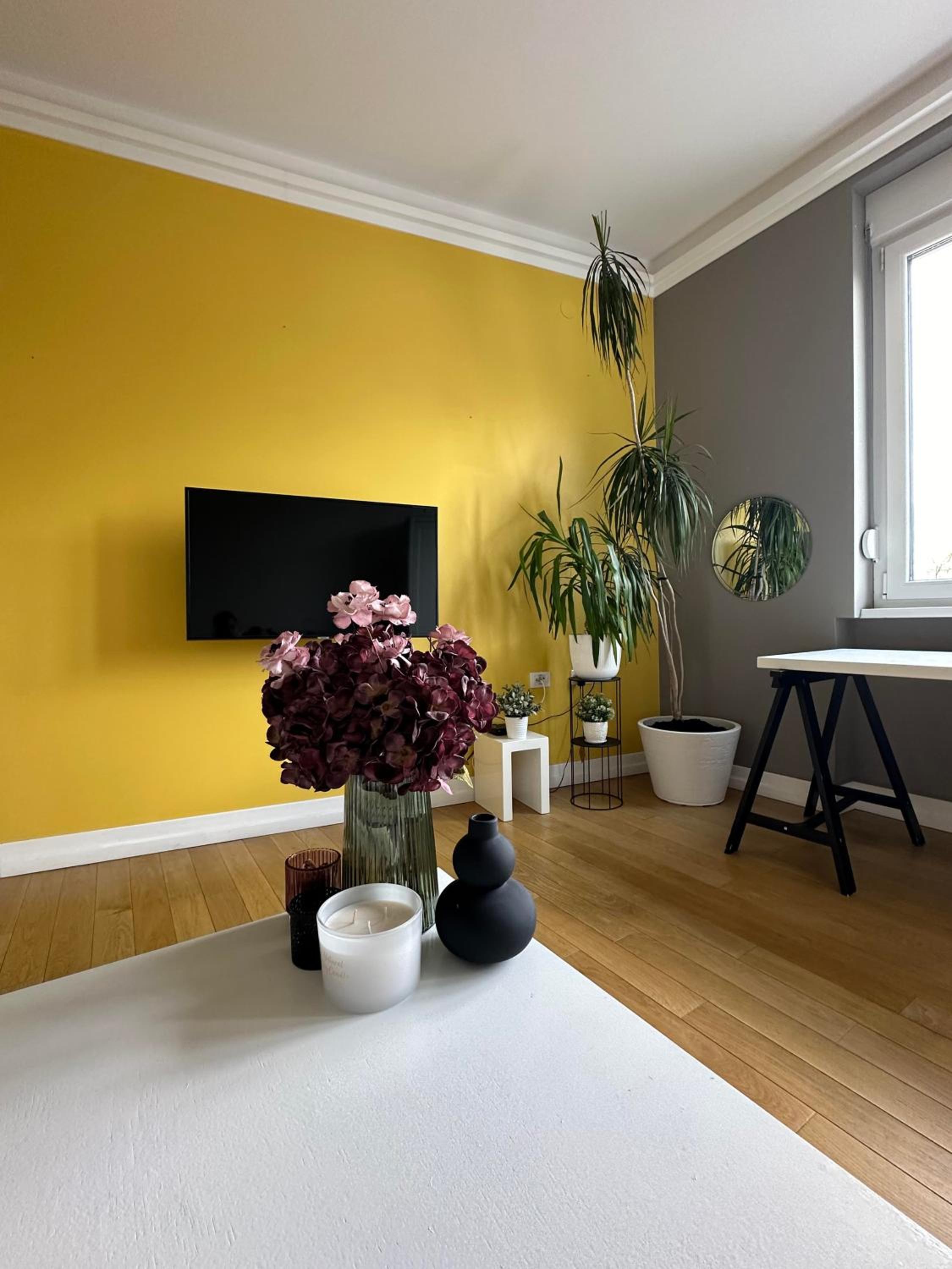 Best location & view in Novi Sad view 5