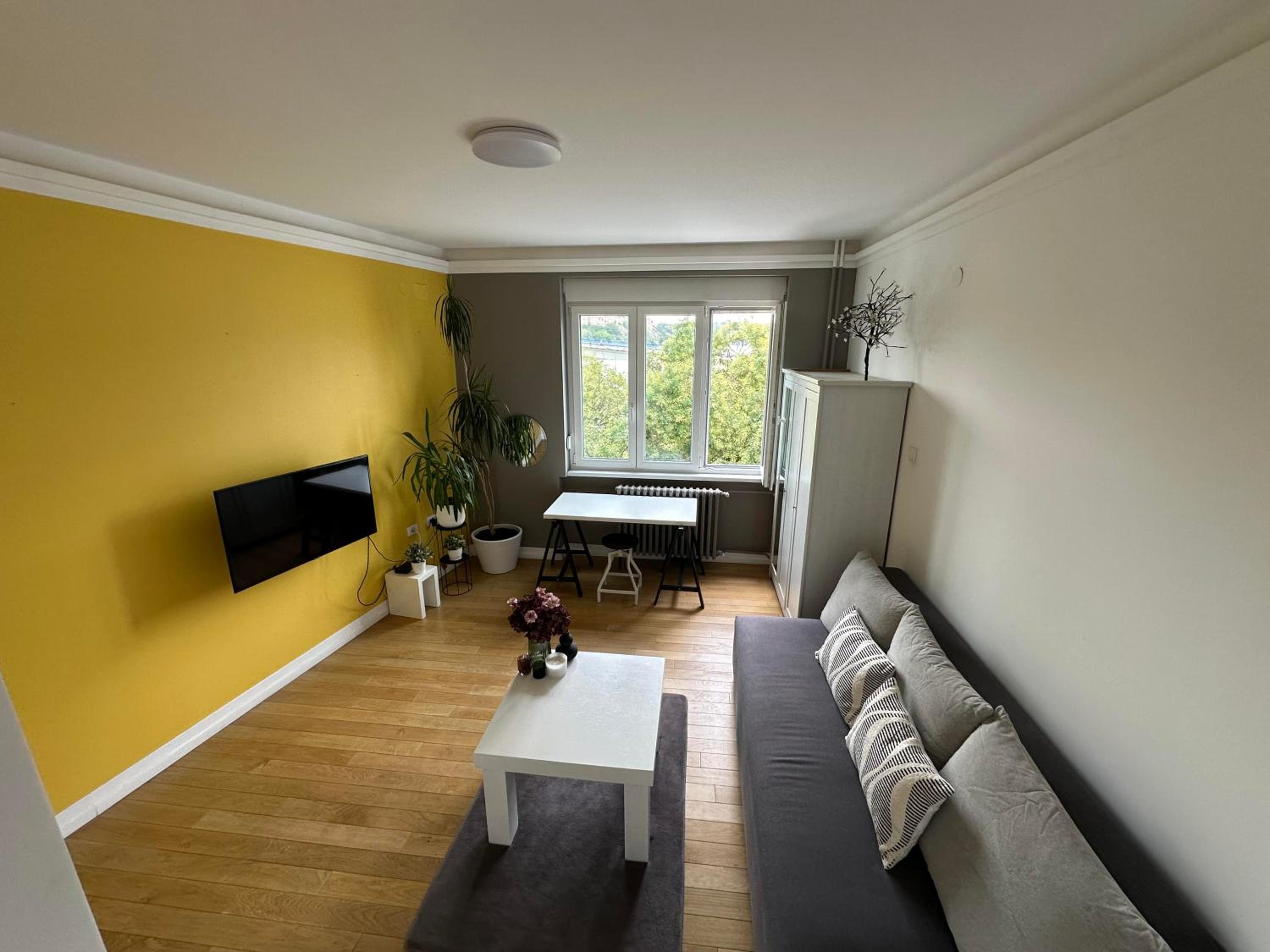 Best location & view in Novi Sad view 4