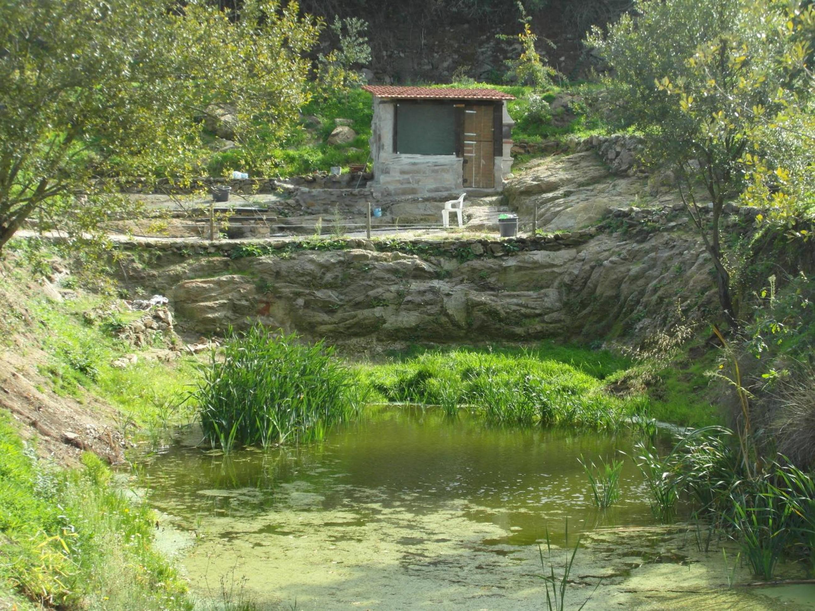 Photo 17