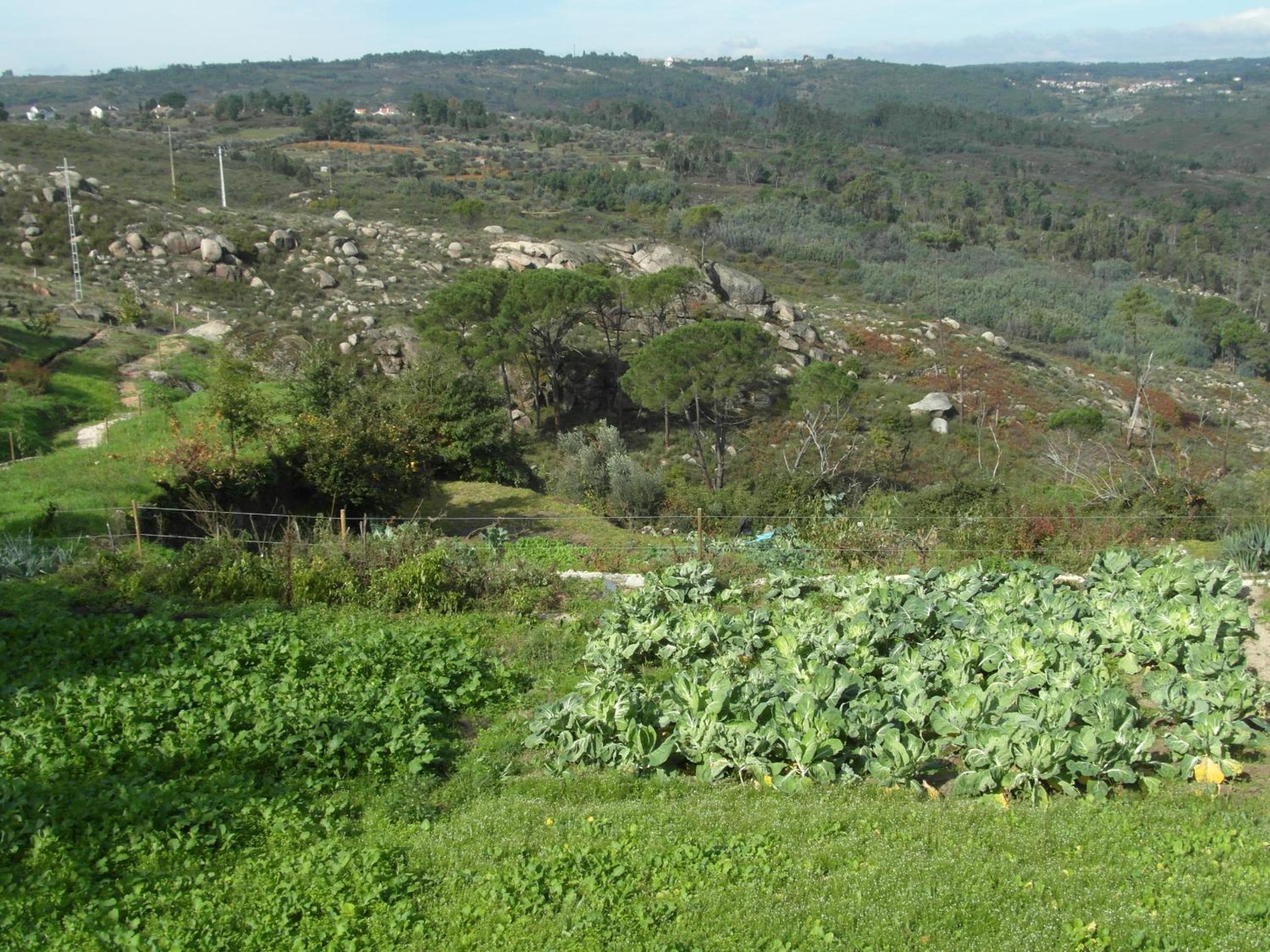 Photo 25