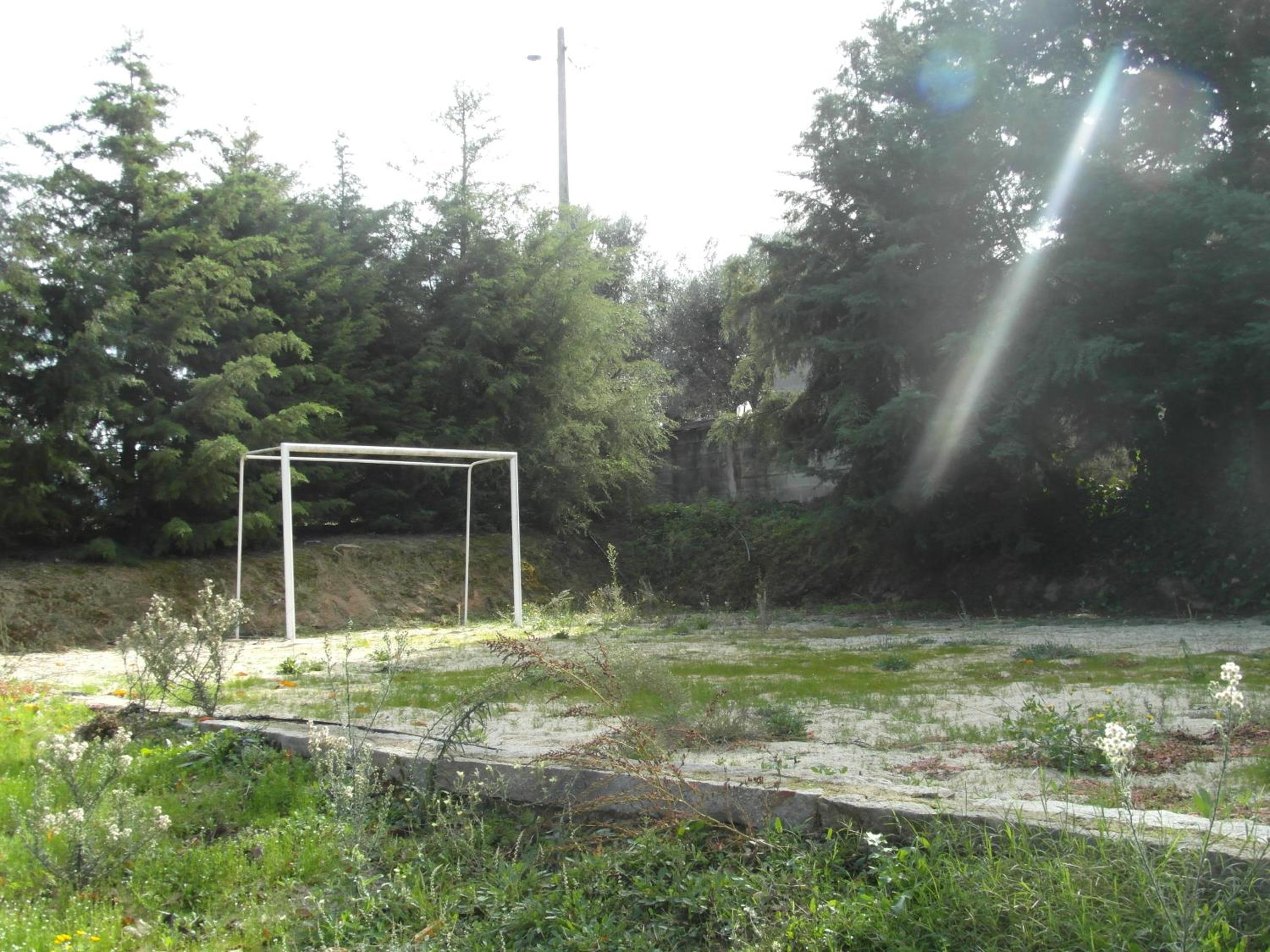 Photo 26