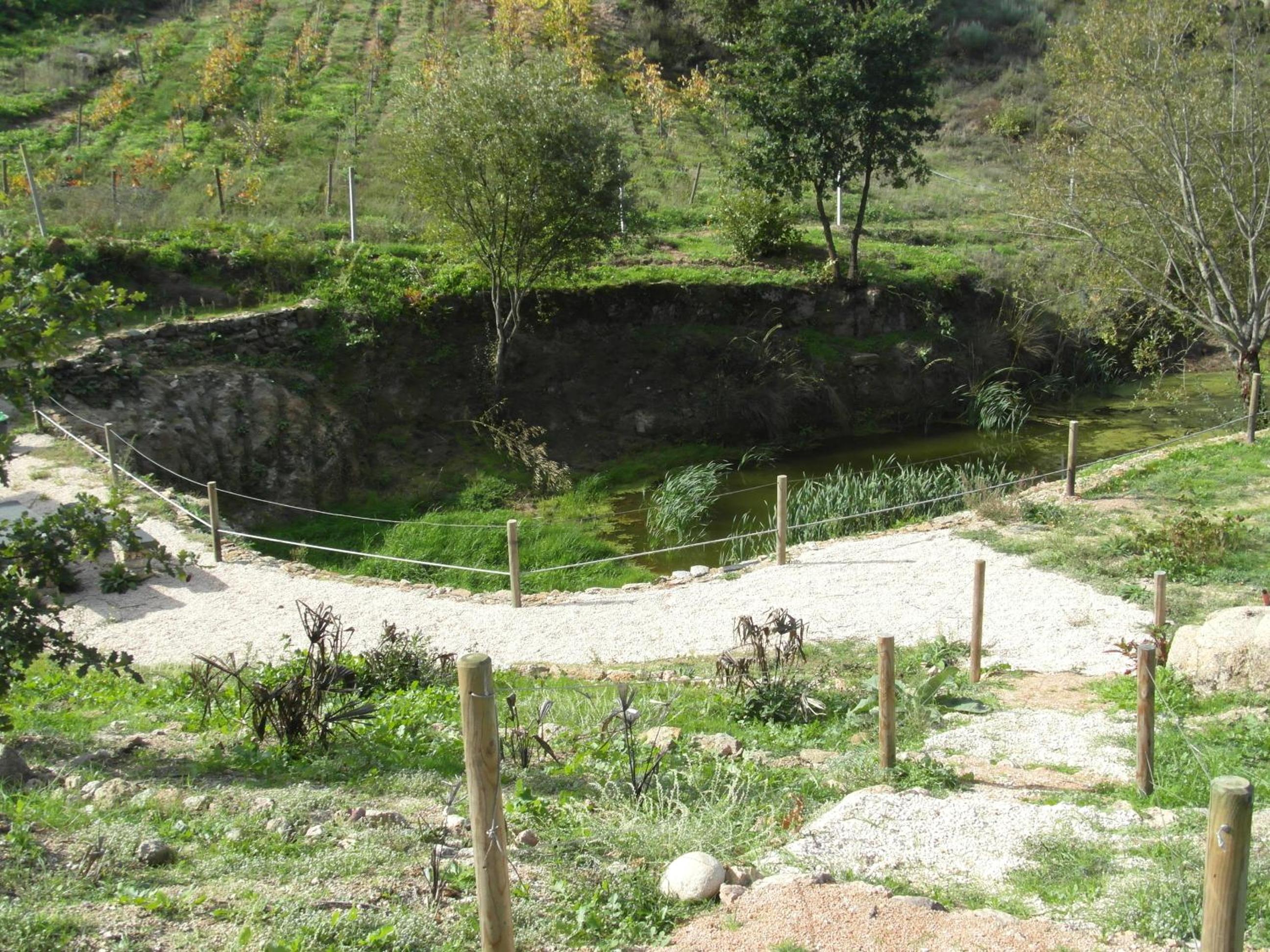 Photo 27