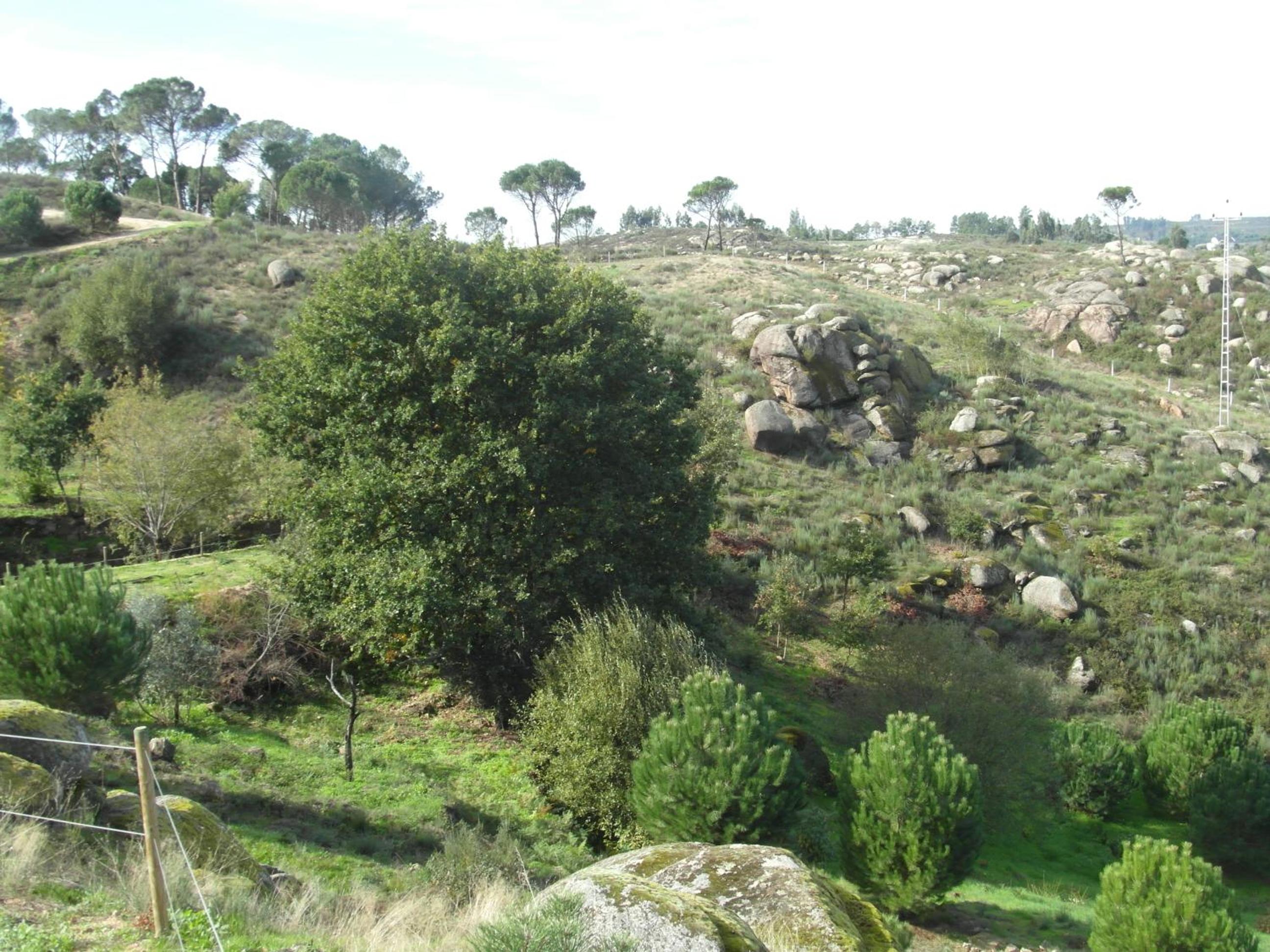 Photo 29