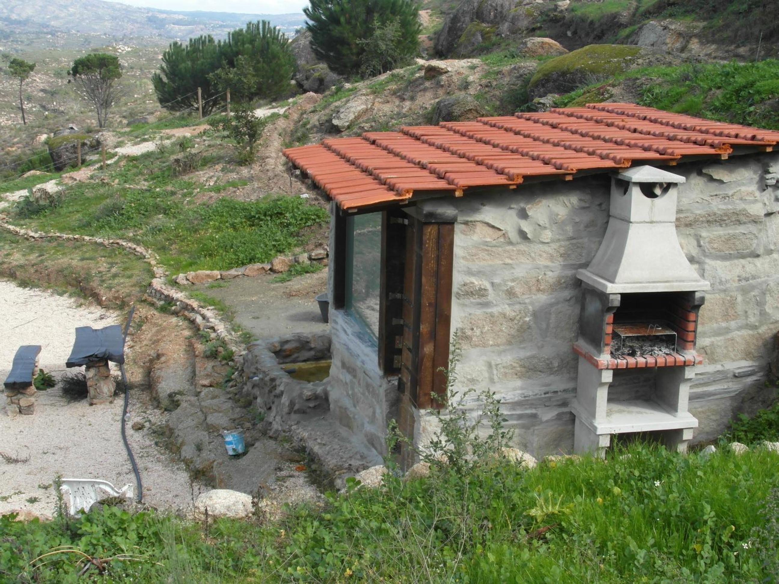 Photo 31