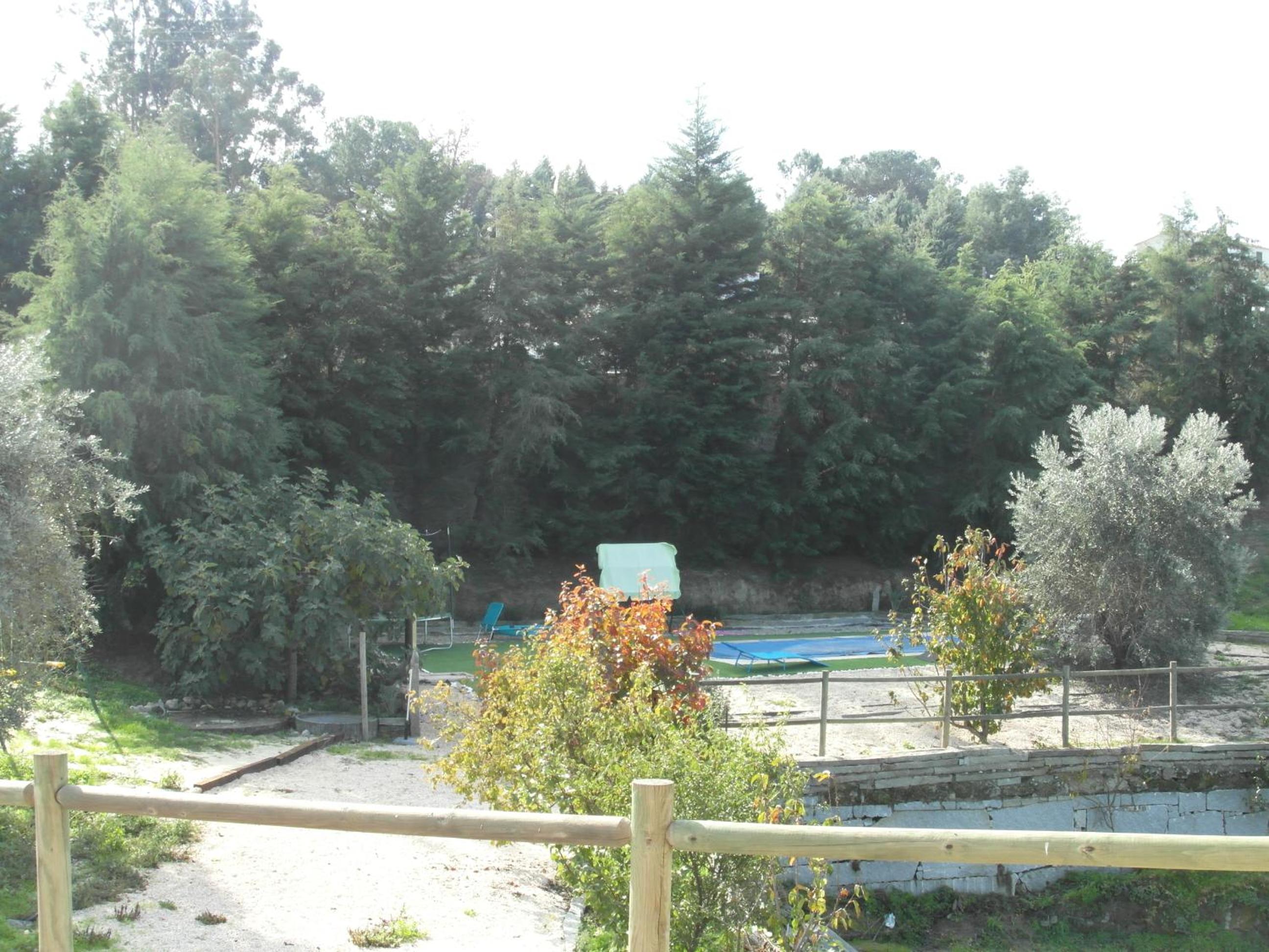 Photo 33
