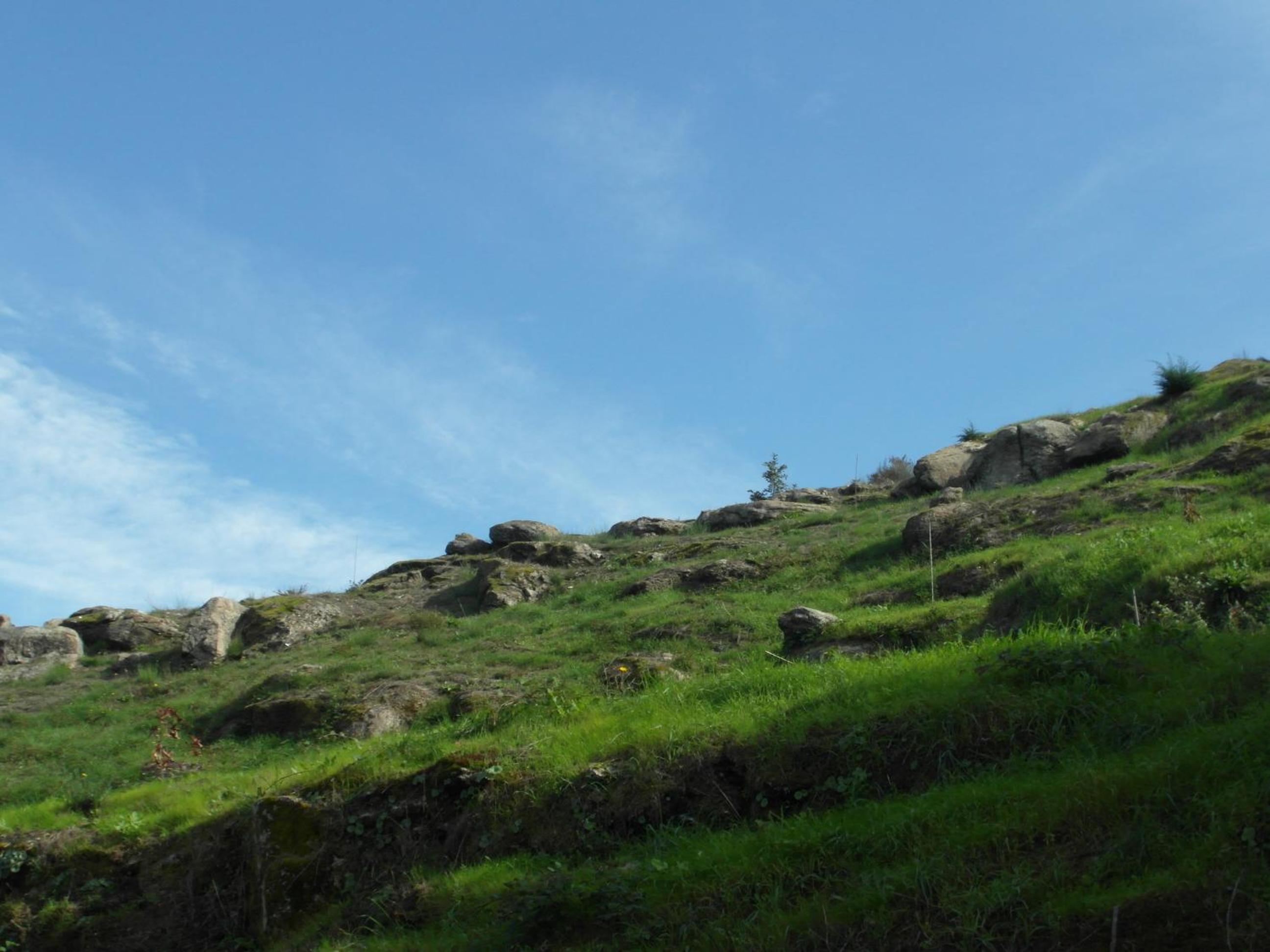 Photo 37